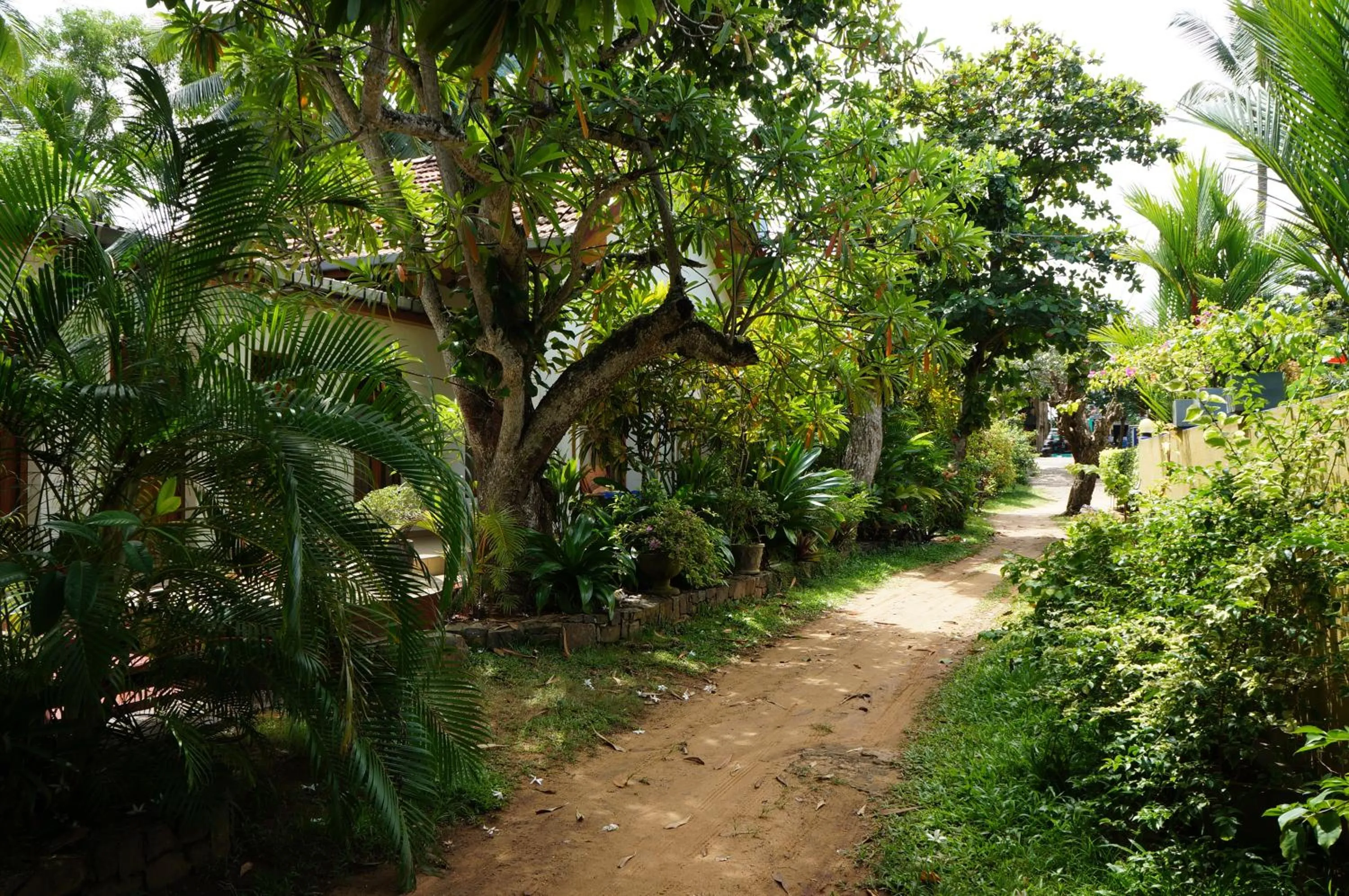 Garden view in Tandem Guesthouse