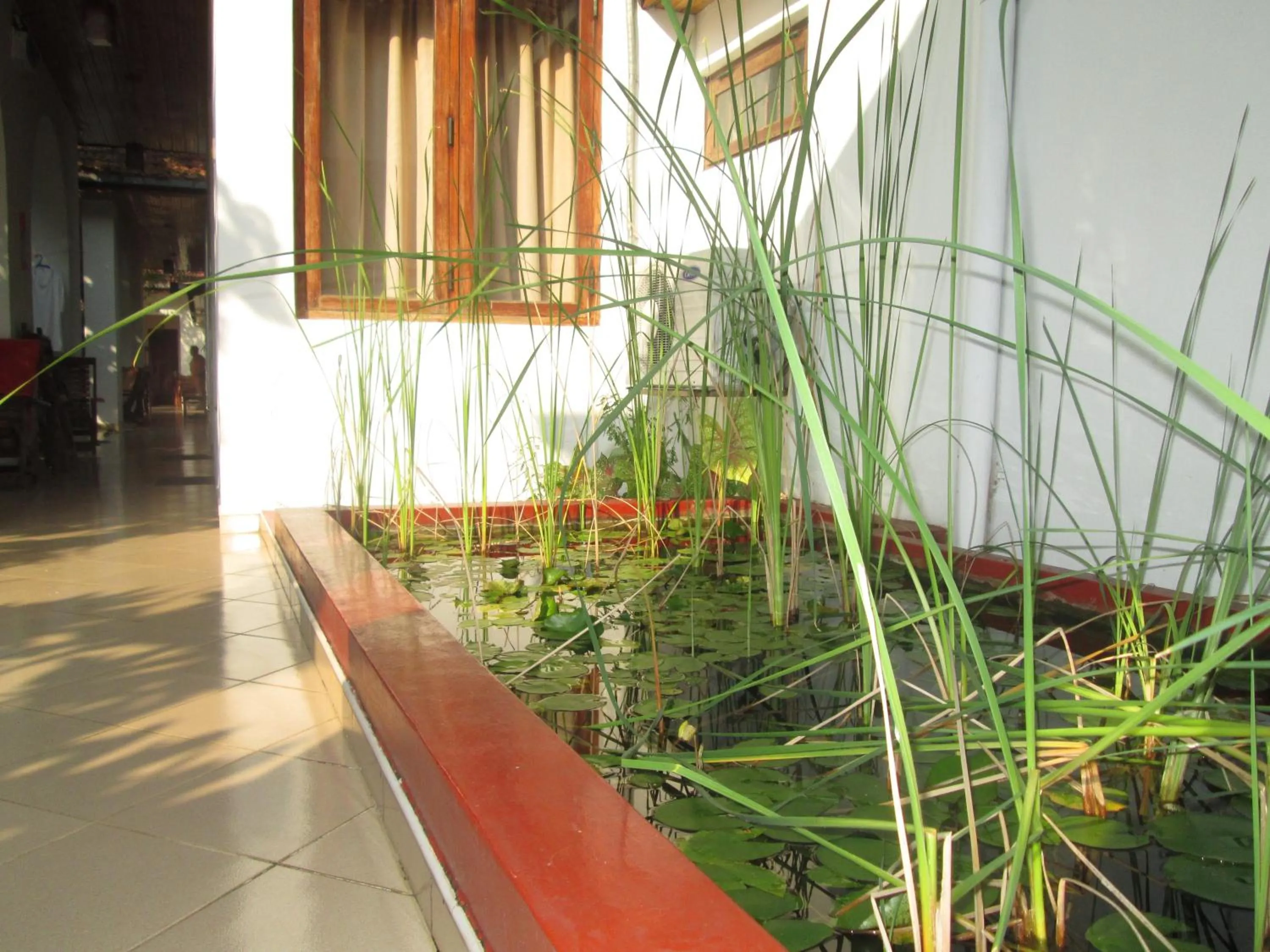 Day in Tandem Guesthouse