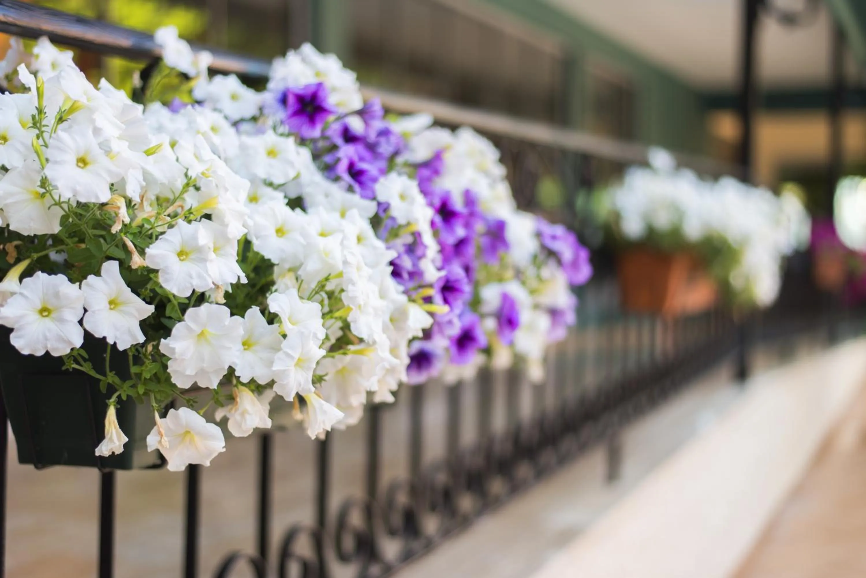 Property building in Asdem Park Otel