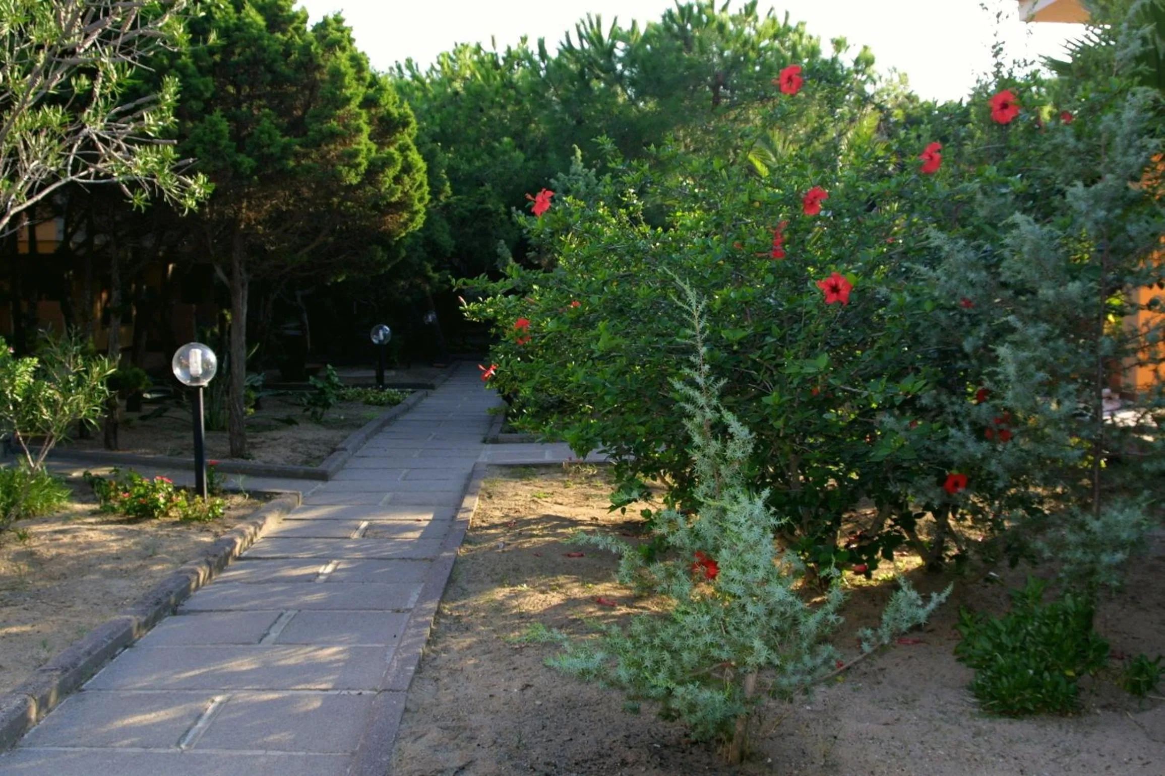 Garden in Club Hotel Residence Baiaverde