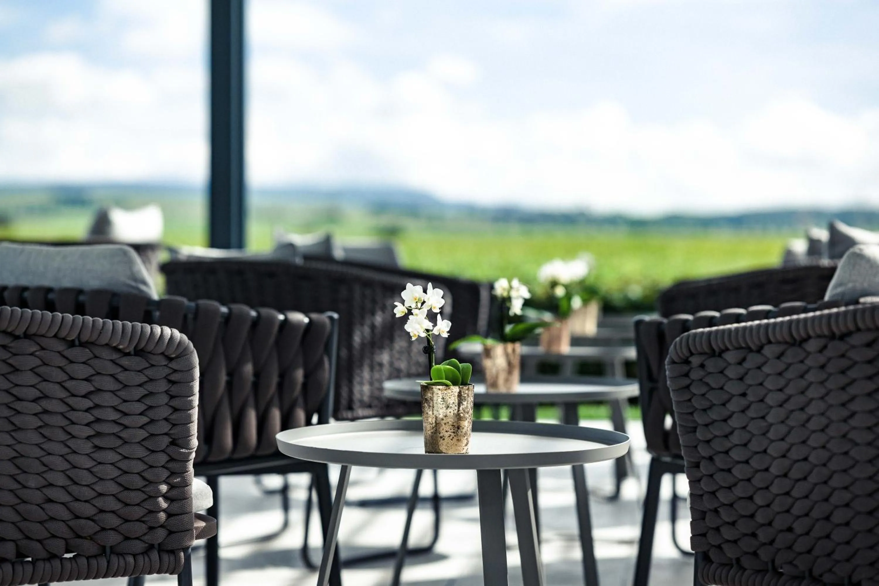 Restaurant/places to eat in Concorde Hotel am Flugplatz