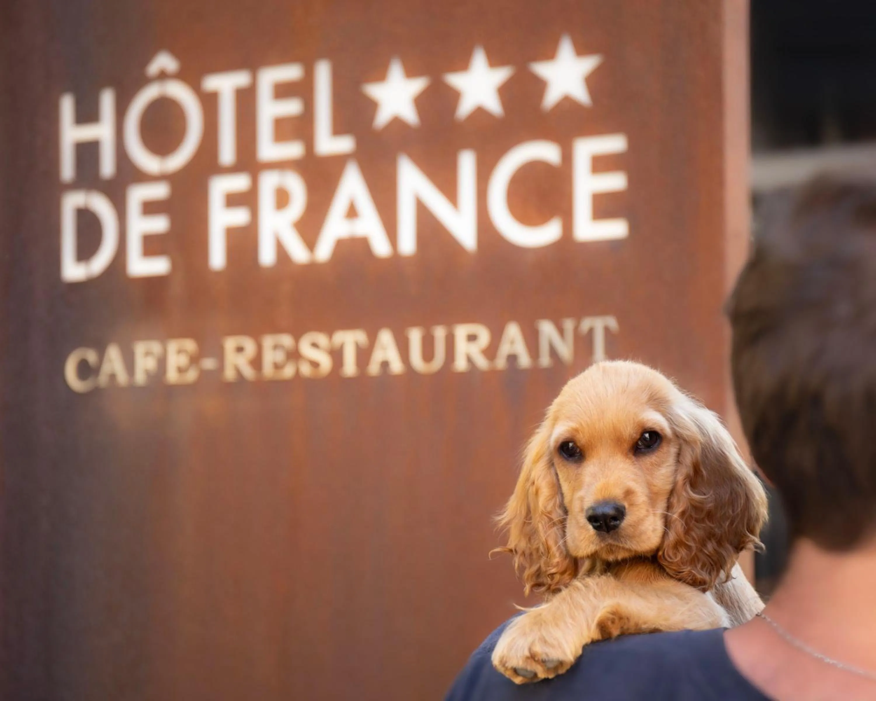 People in Logis Hôtel Restaurant de France