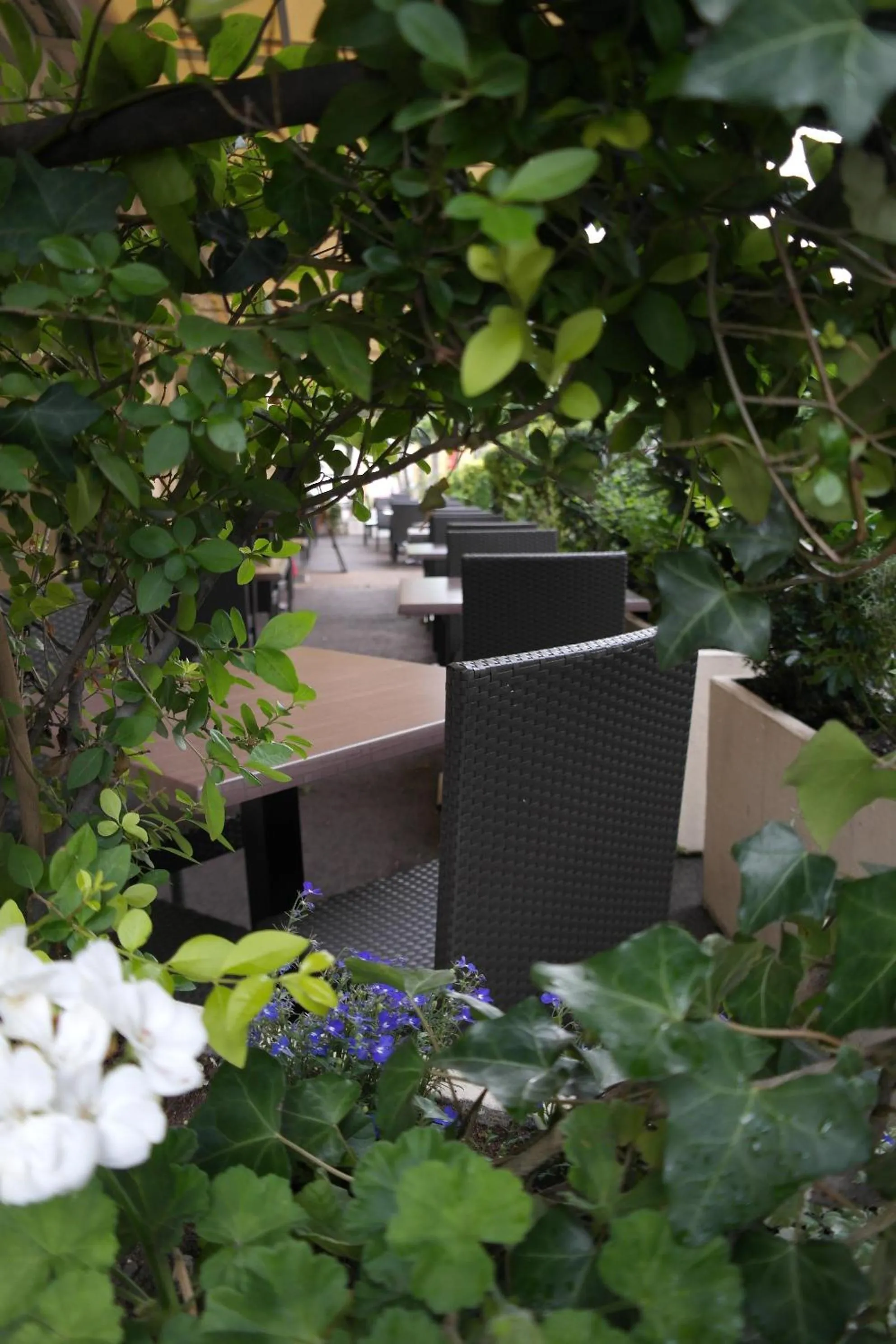 Balcony/Terrace in Logis Hôtel Restaurant de France
