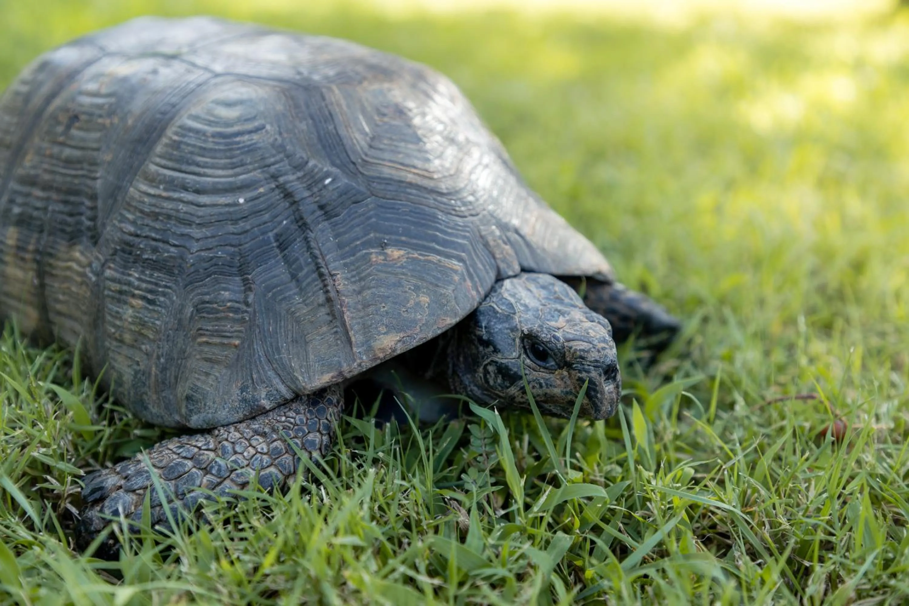 Day in Eco Village Baia Delle Ginestre