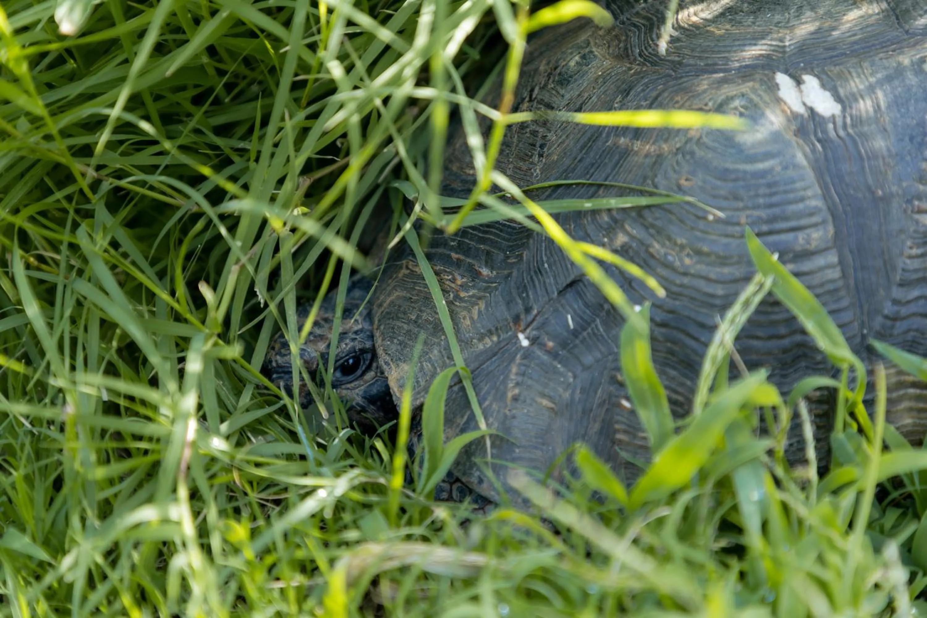 Day in Eco Village Baia Delle Ginestre