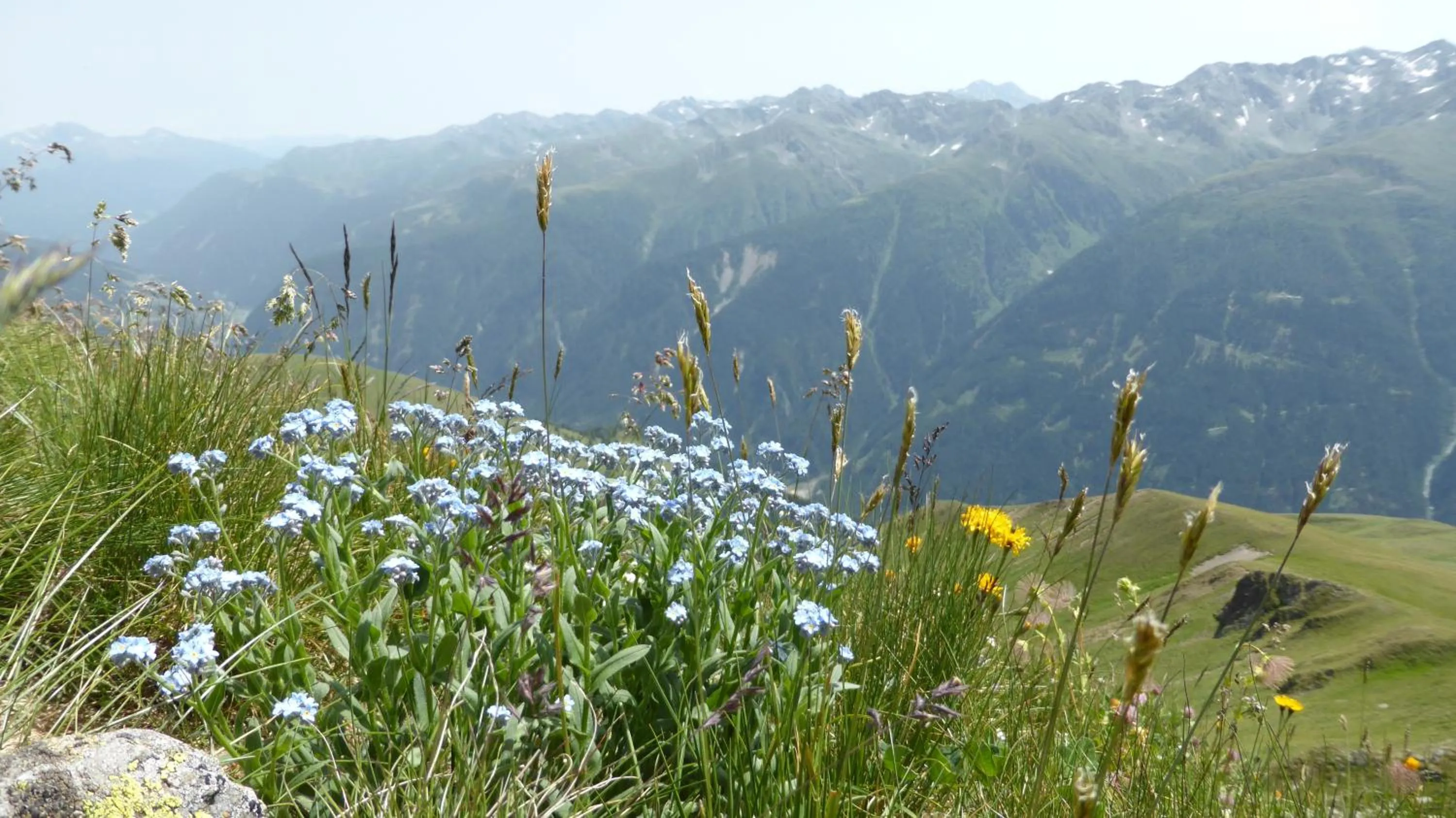 Hiking in Haus Veidlis, Familie Obkircher