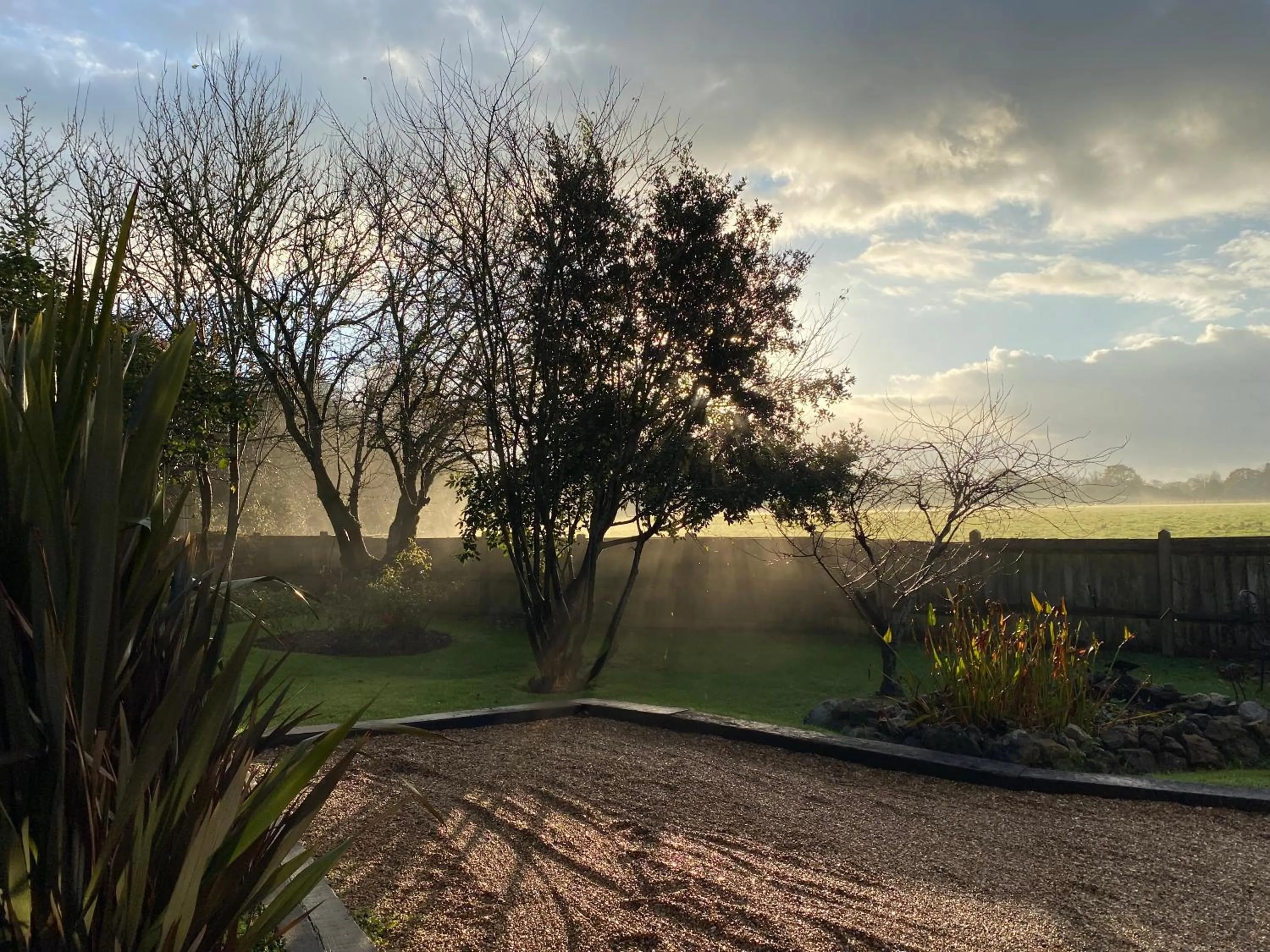 Garden in Old Chapel Forge