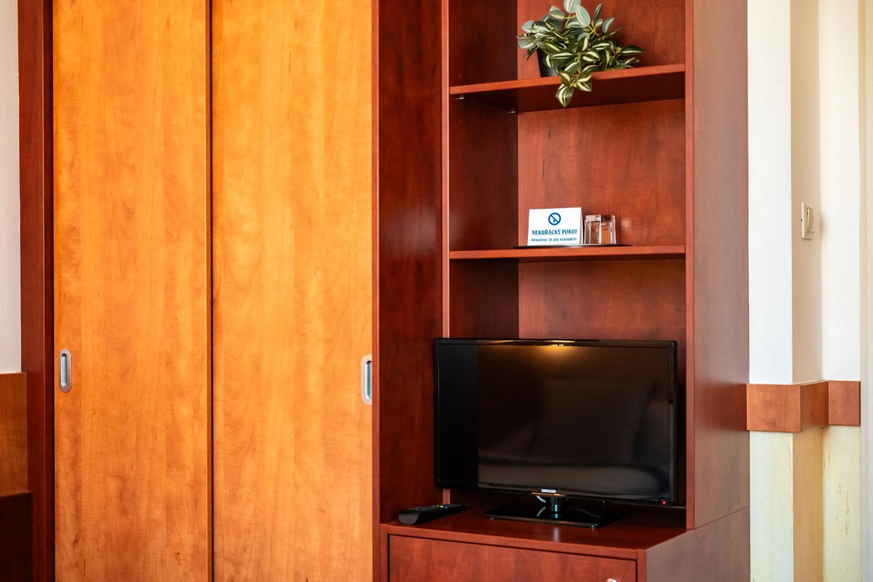 TV and multimedia in Hotel Grand