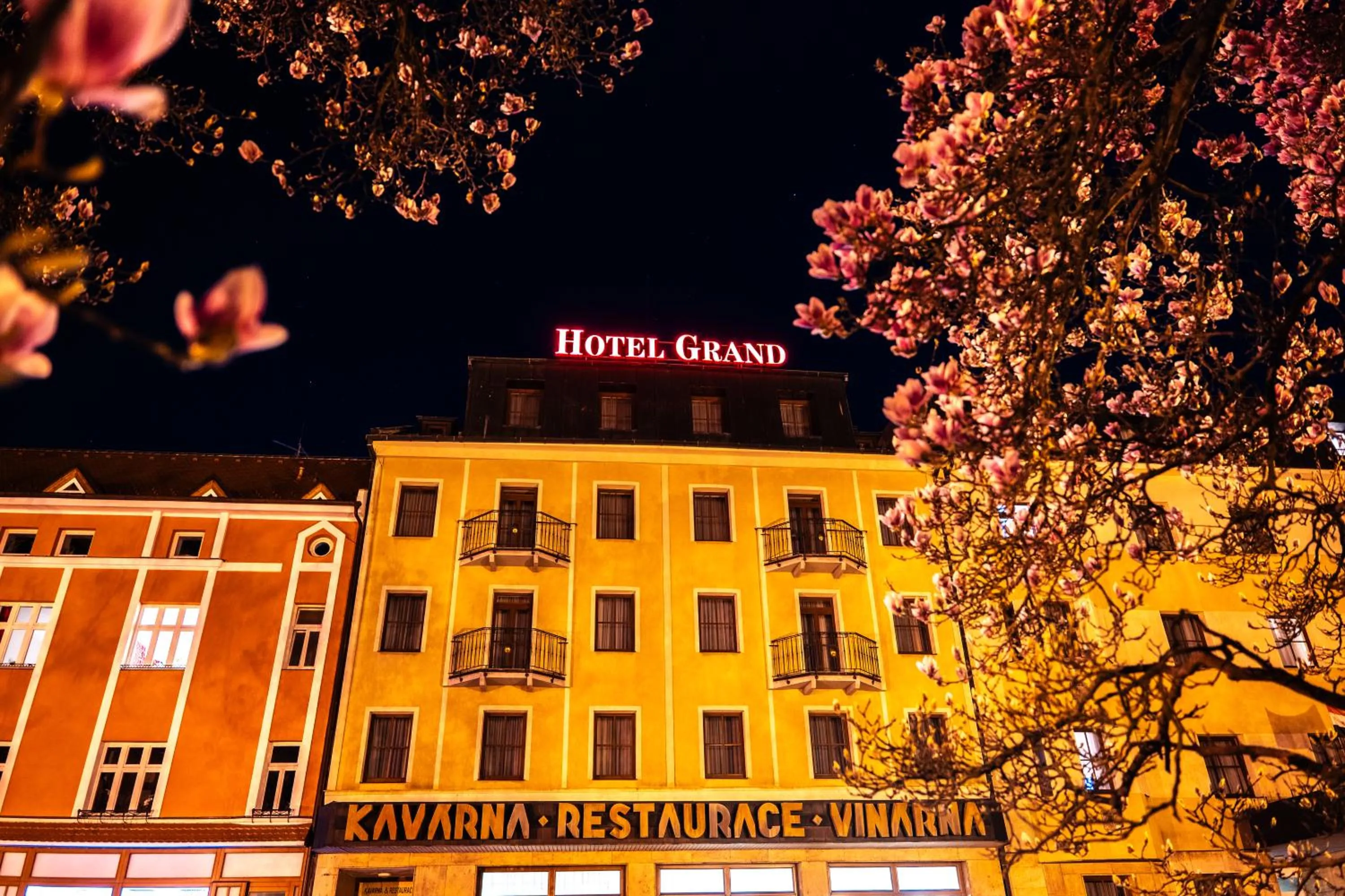 Property building in Hotel Grand