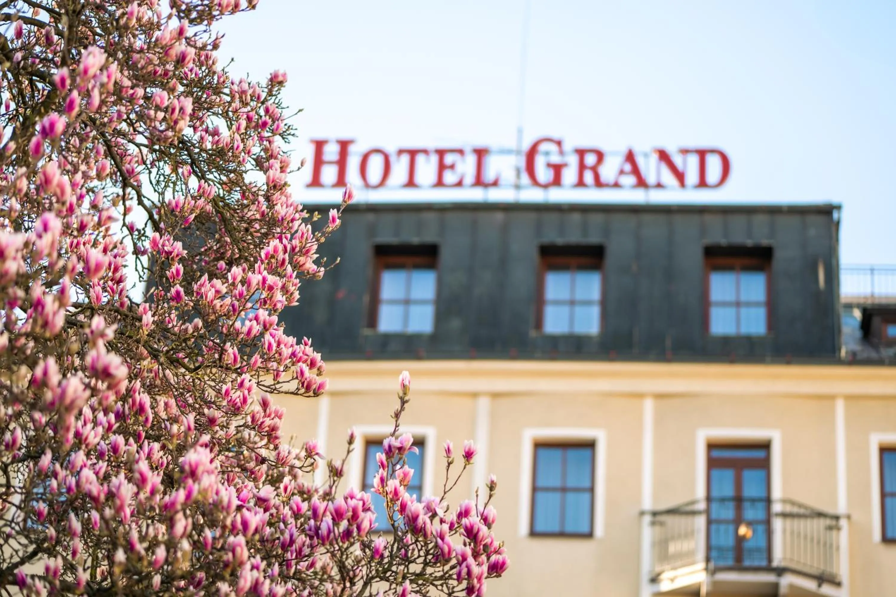 Property building in Hotel Grand