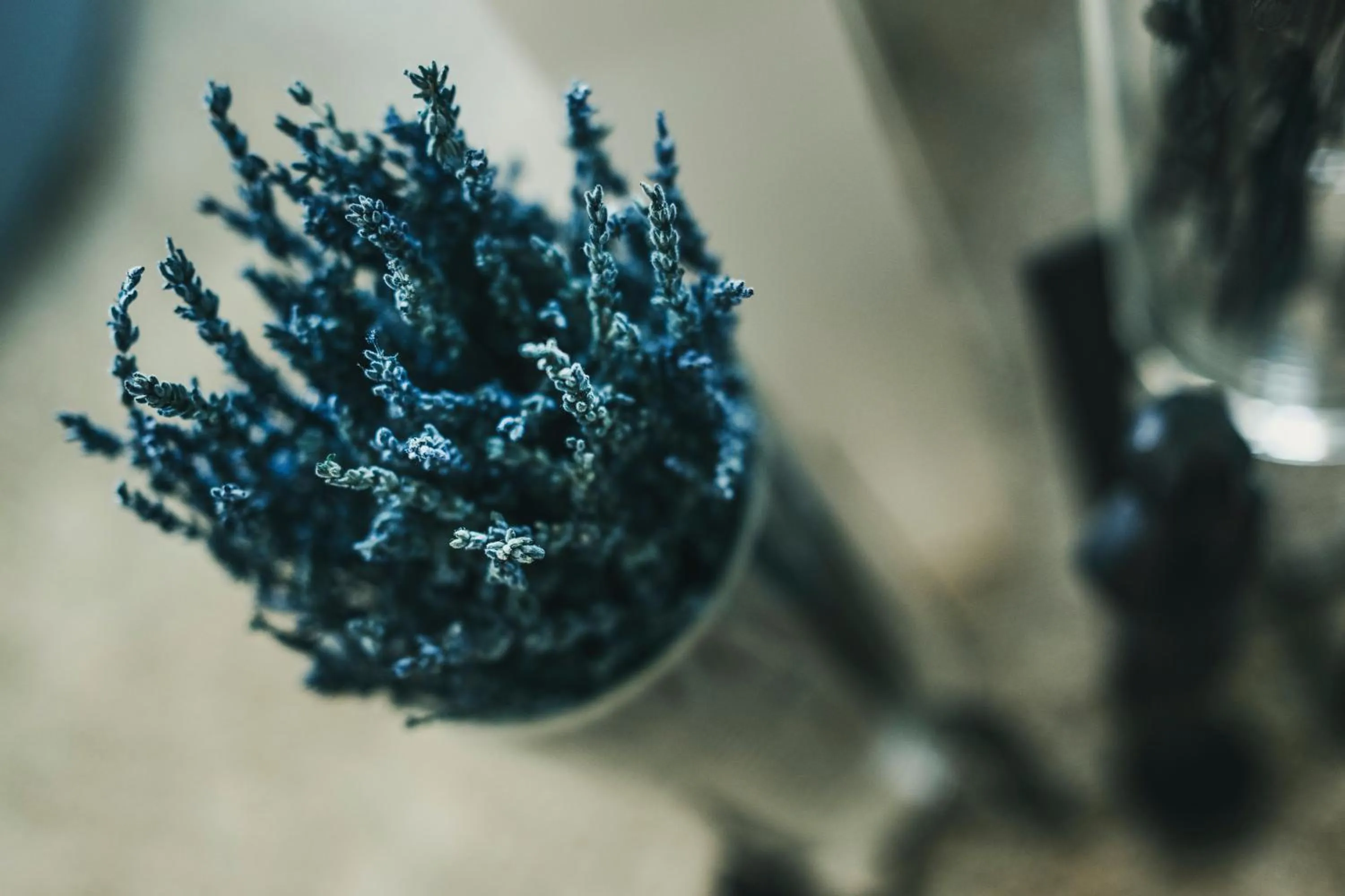 Decorative detail in Fritz Lauterbad