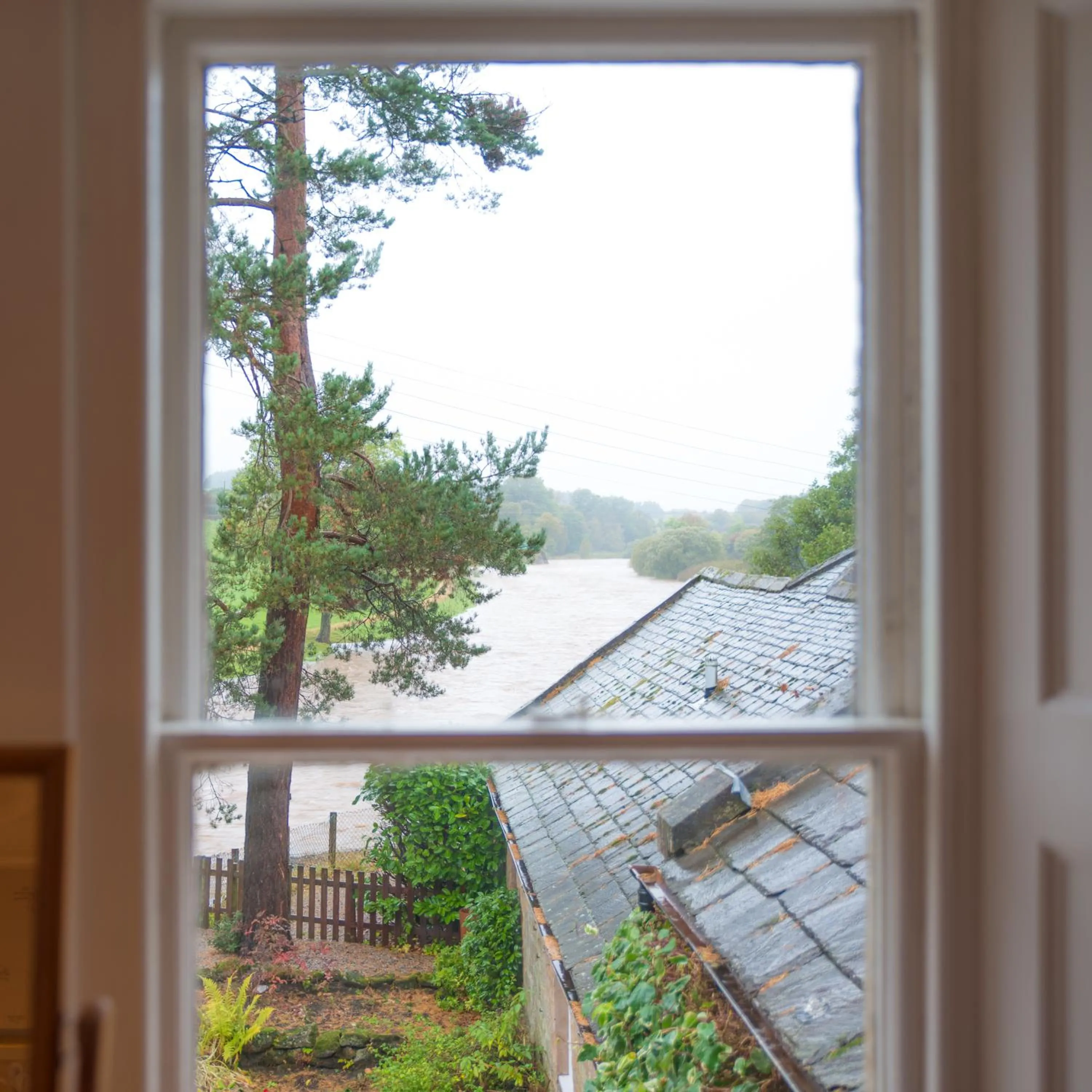 Decorative detail in Blackaddie House Hotel