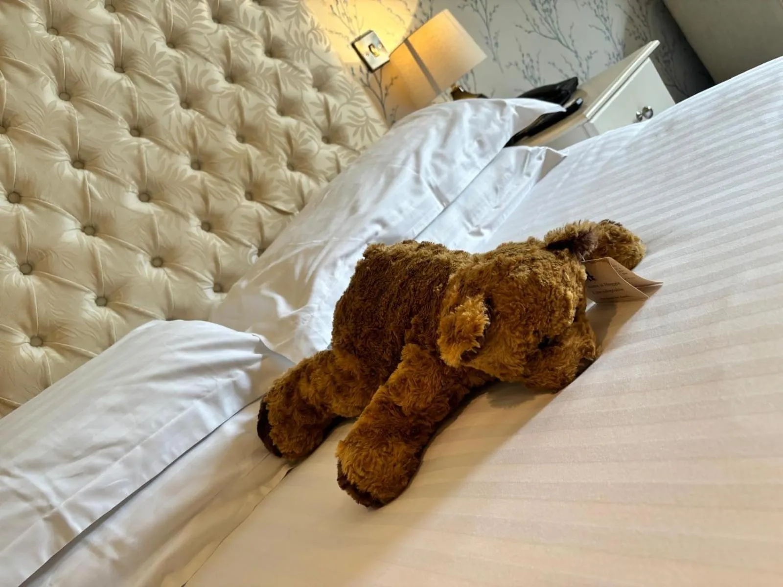 Blackaddie House Hotel