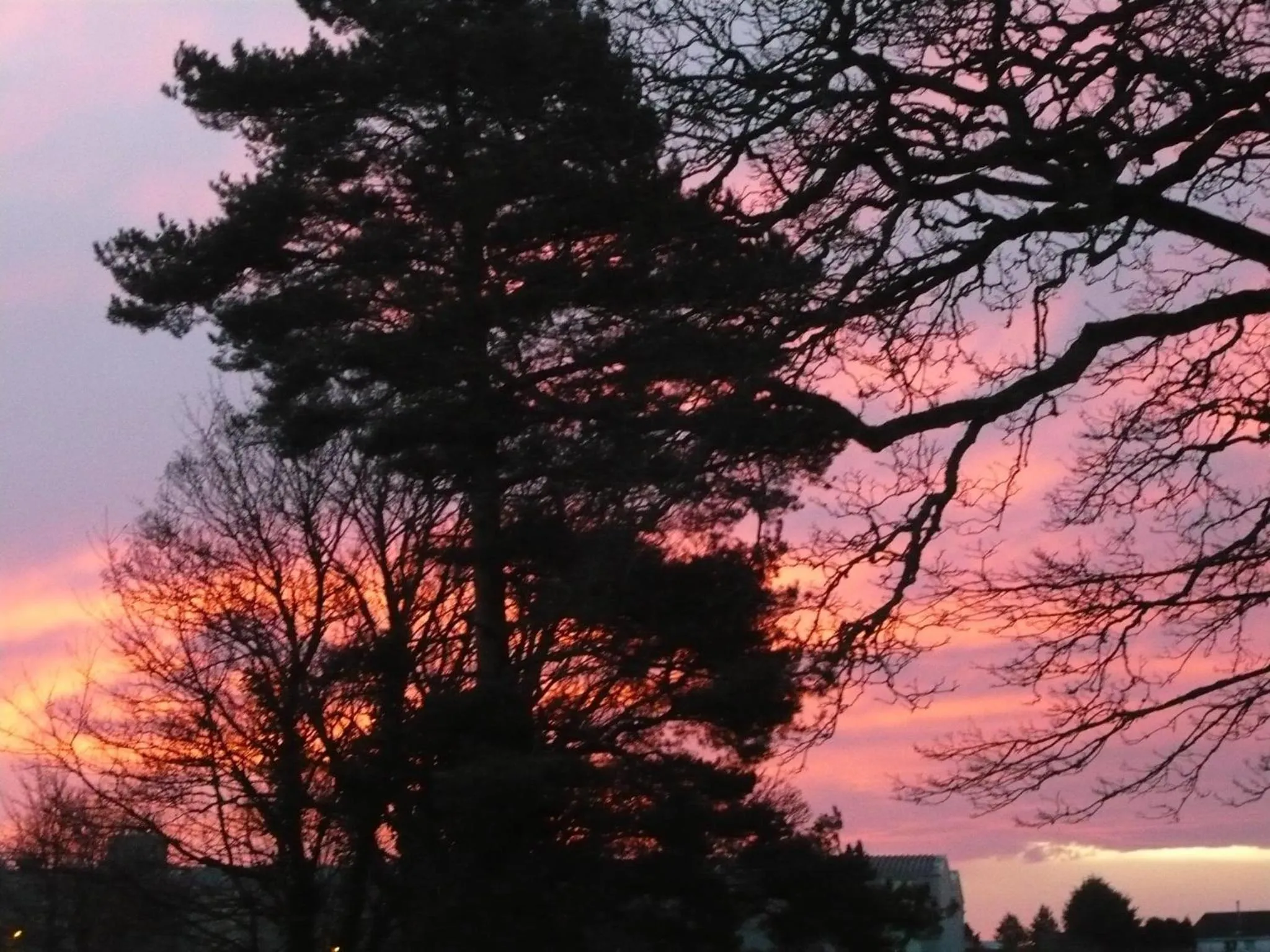 Area and facilities in Blackaddie House Hotel