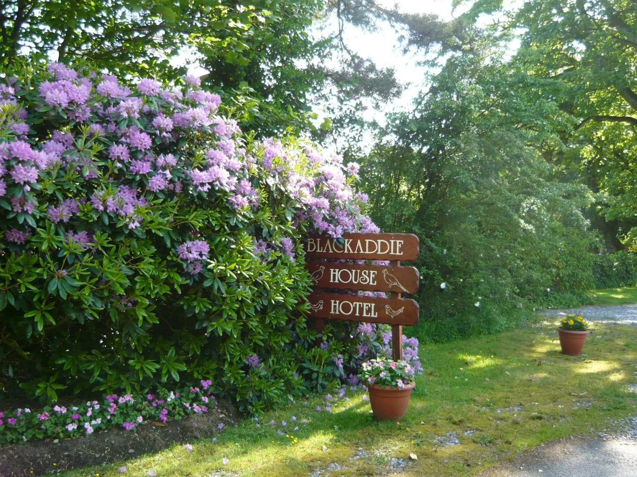 Area and facilities in Blackaddie House Hotel