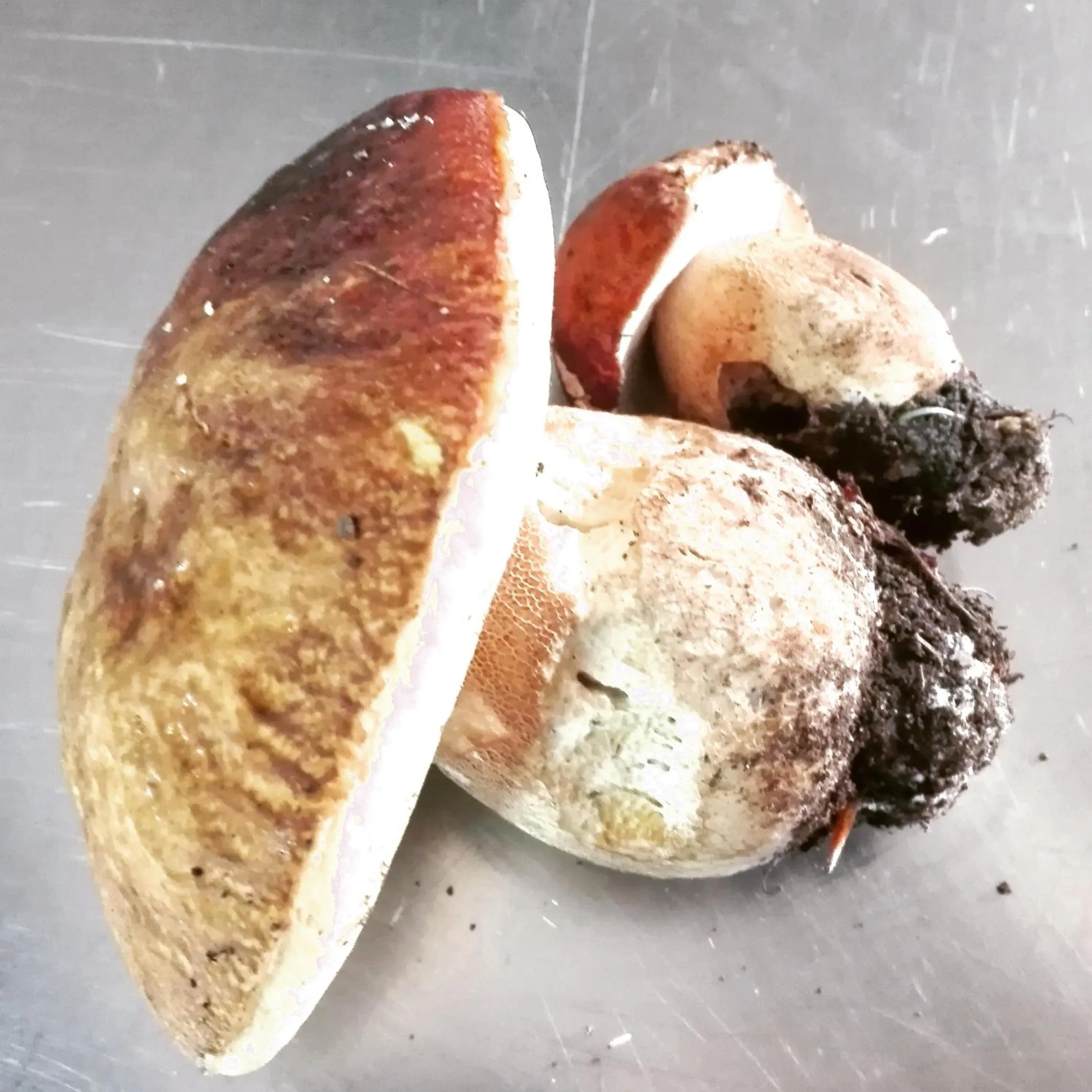 Food in Hotel Bristol