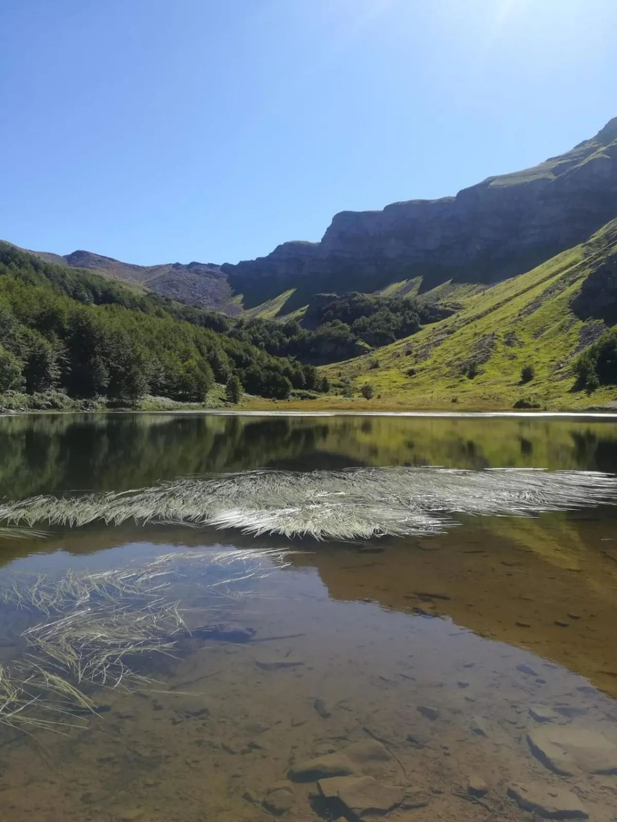Natural landscape in Hotel Bristol