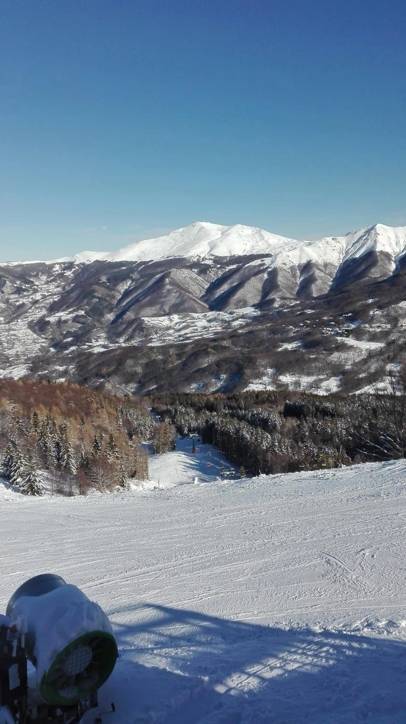 Day in Hotel Bristol