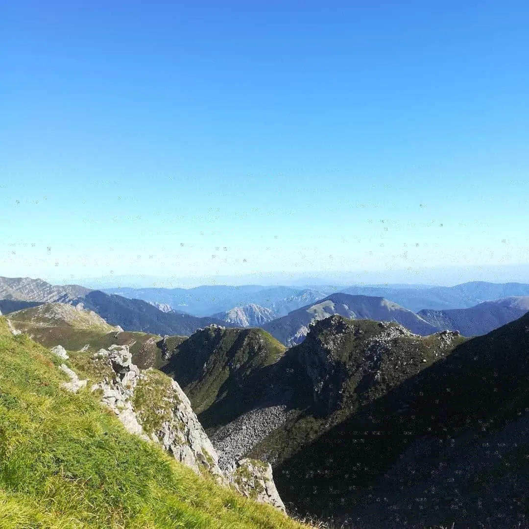 Natural landscape in Hotel Bristol