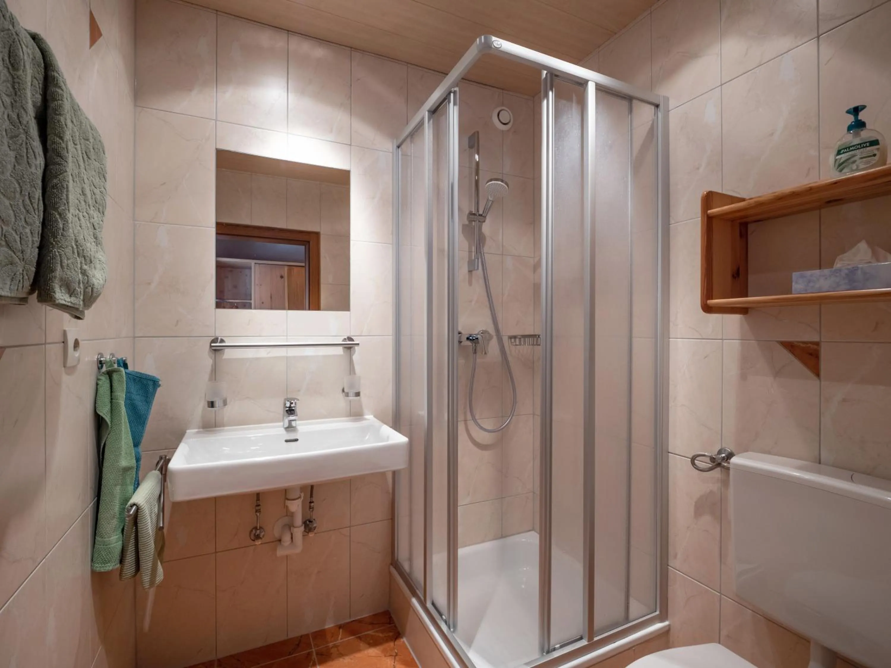 Shower in Landhaus Elfi
