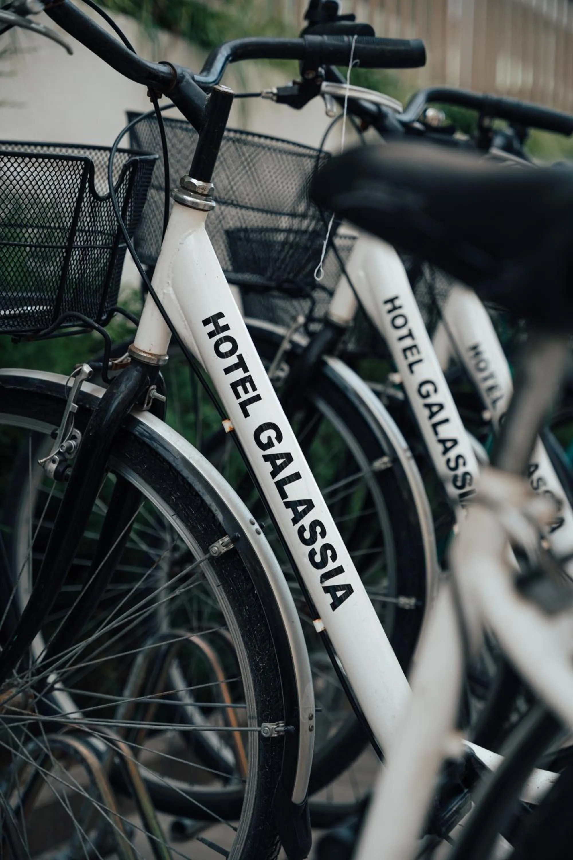 Sports in Hotel Galassia Suites & Spa