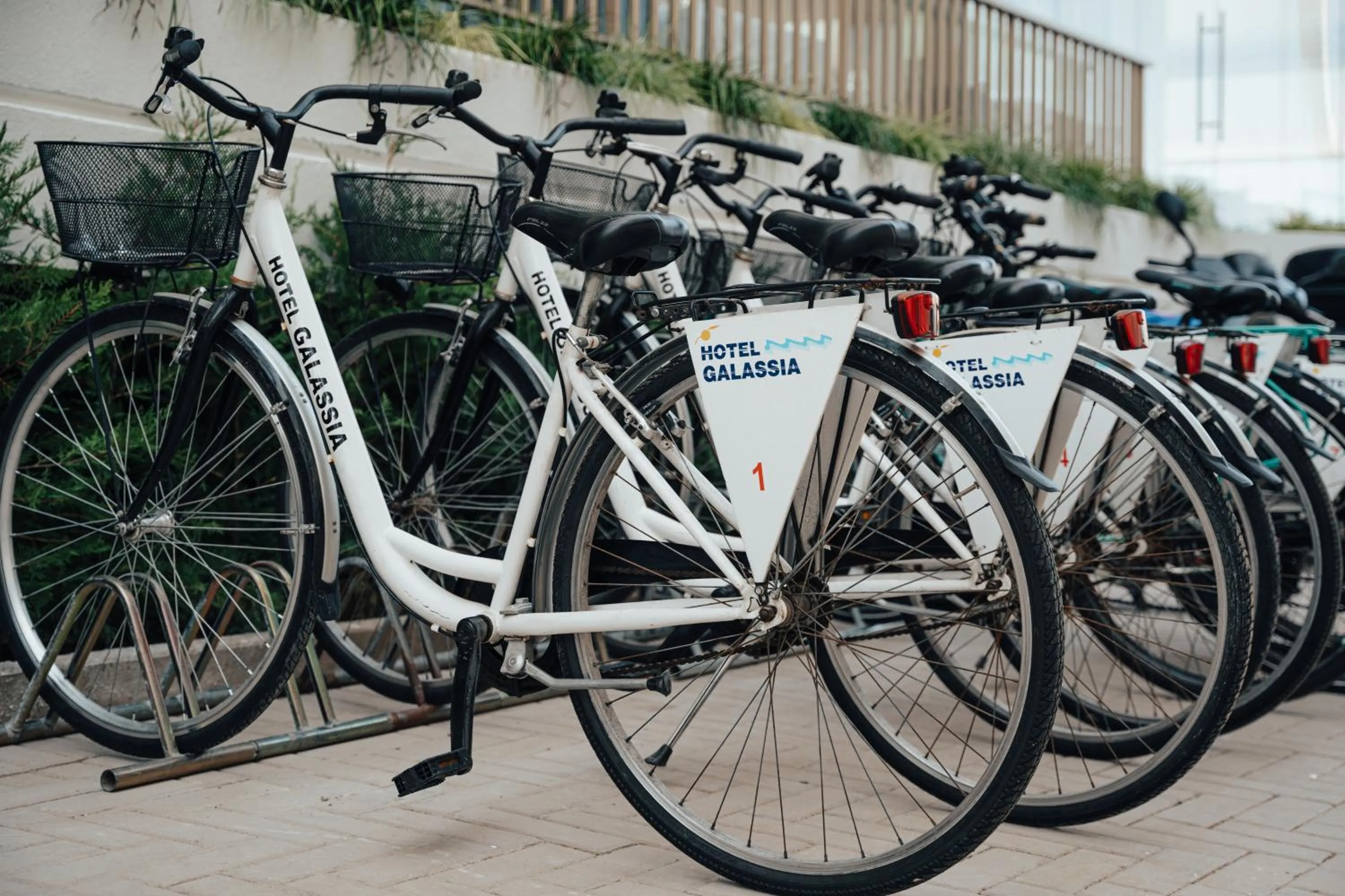 Cycling in Hotel Galassia Suites & Spa