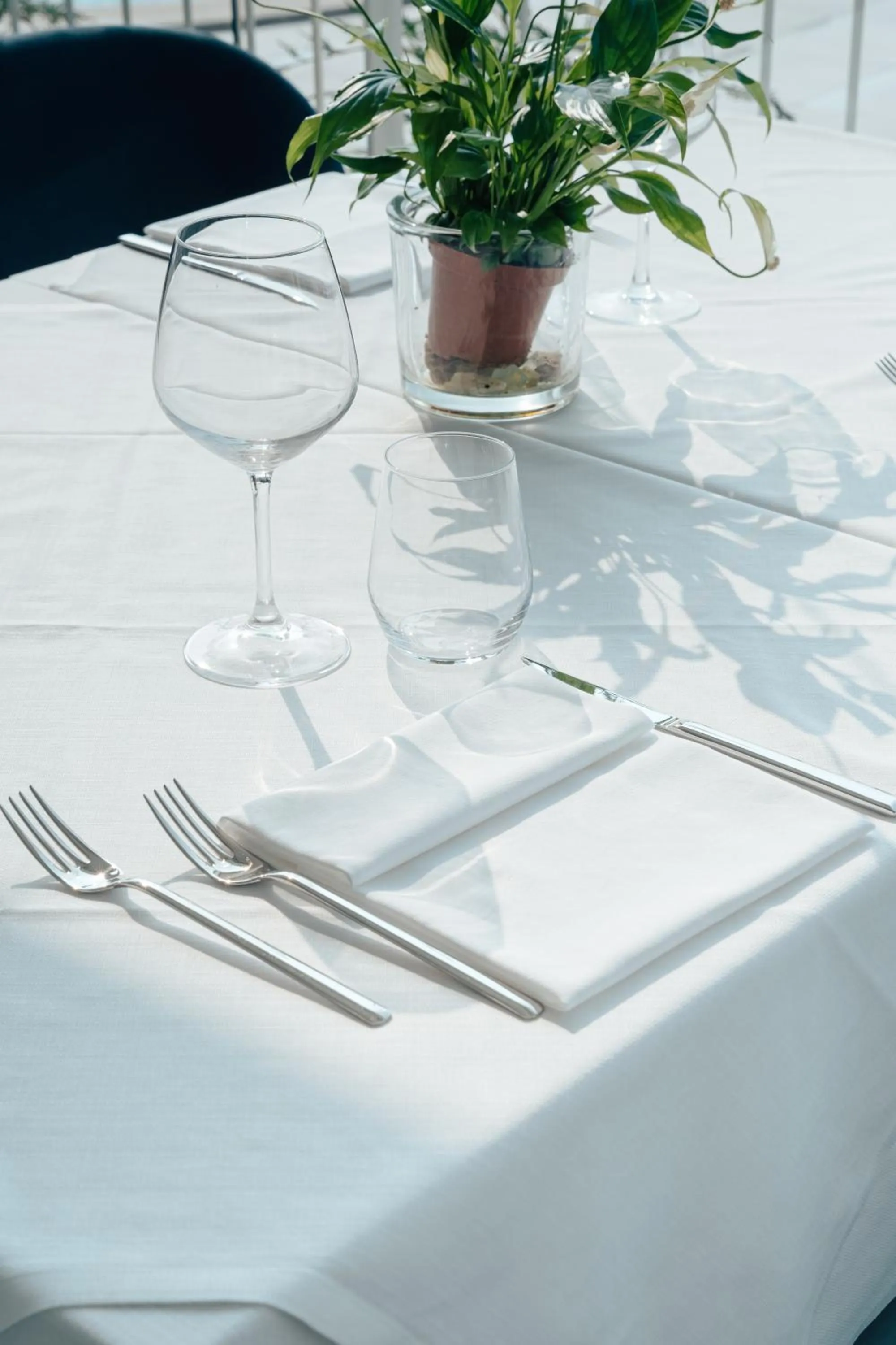 Food close-up in Hotel Galassia Suites & Spa