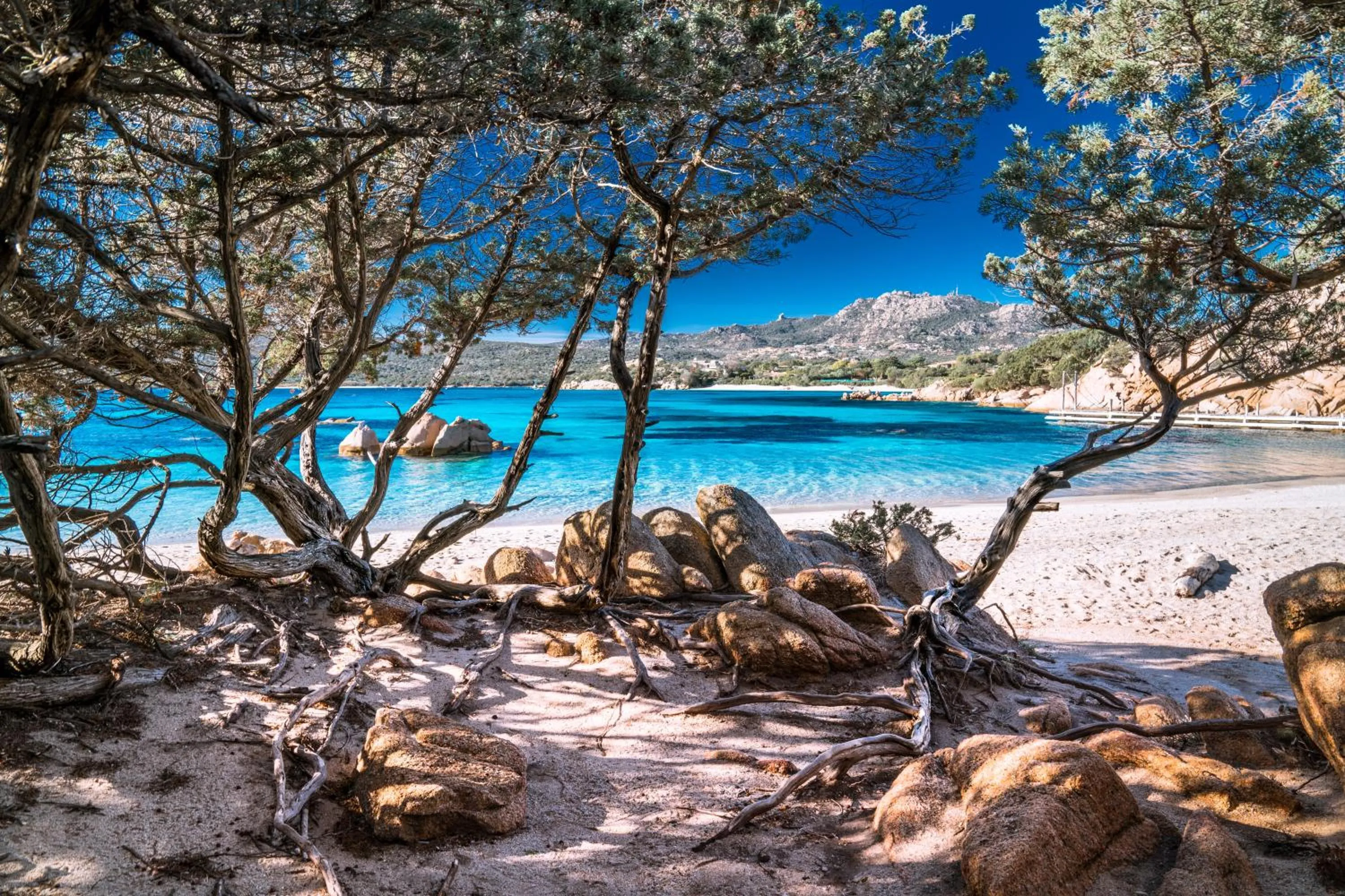 Beach in Residence Bougainvillae