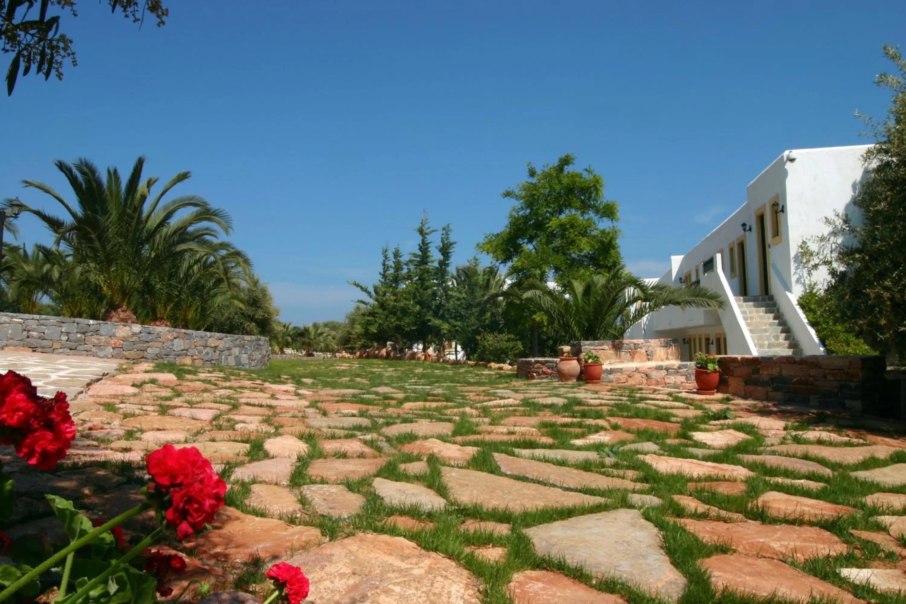 Garden in Hersonissos Village Hotel & Bungalows