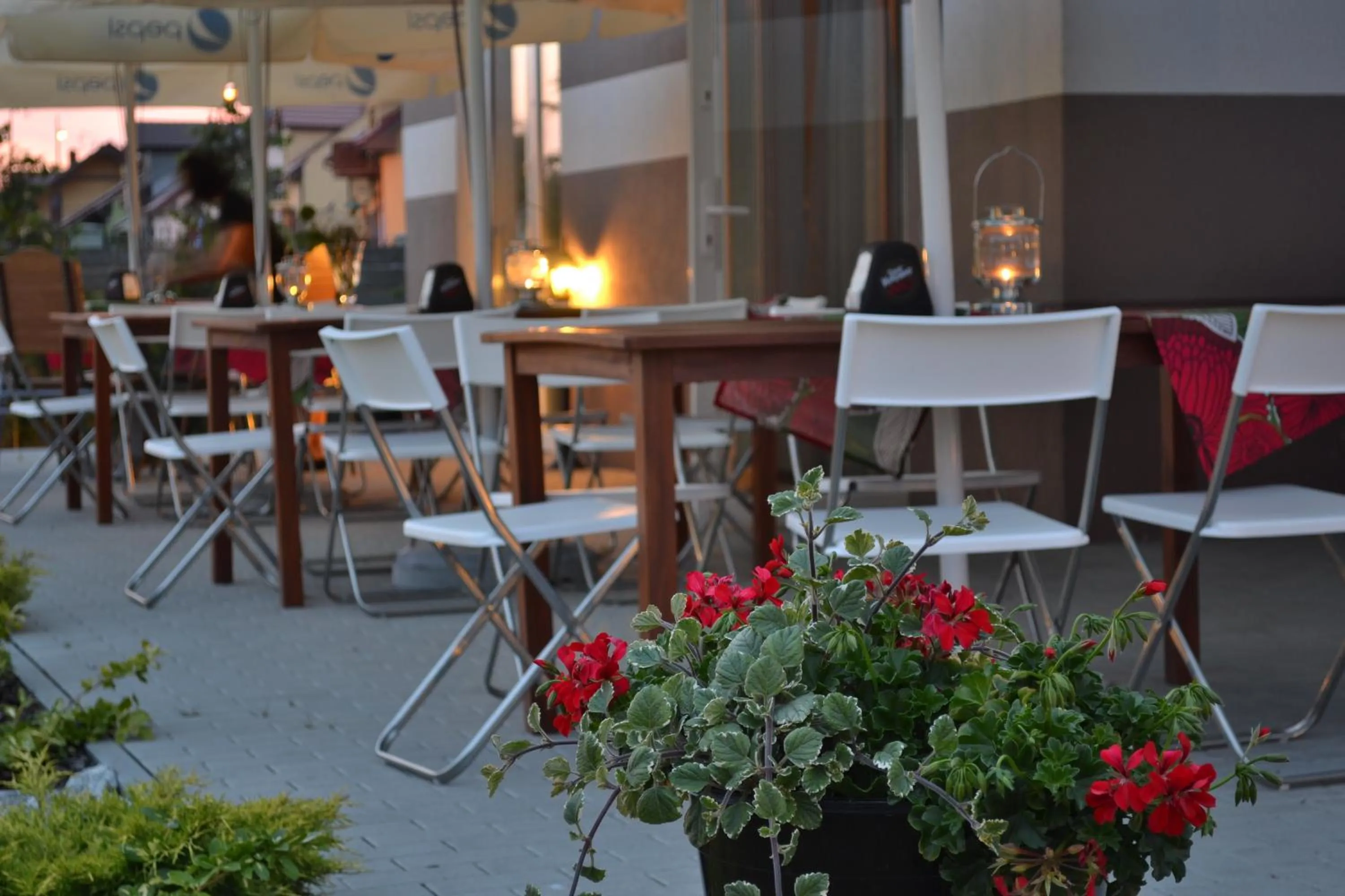 Restaurant/places to eat in Hotel Graffit