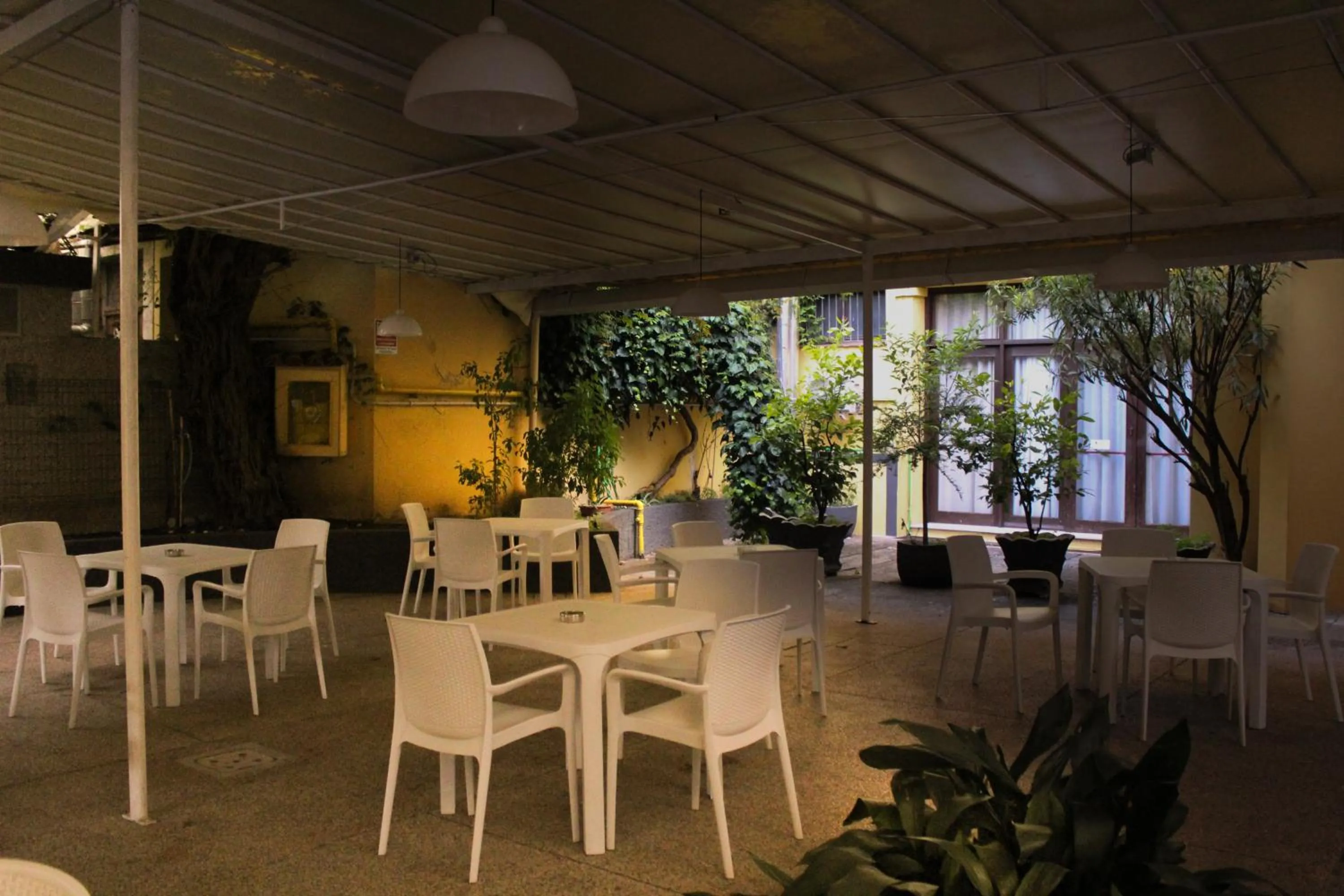 Garden in Hotel Roma