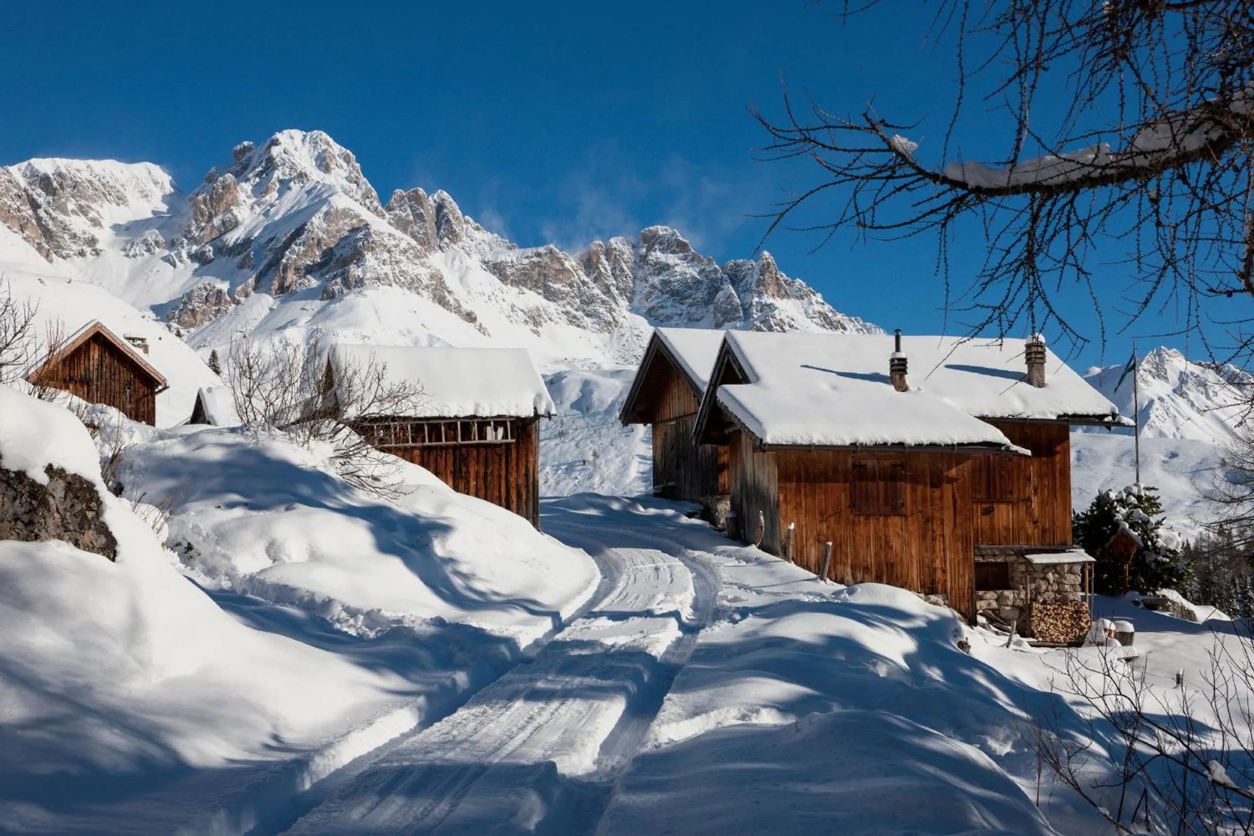 Activities in Latemar - Hotel Suites Spa