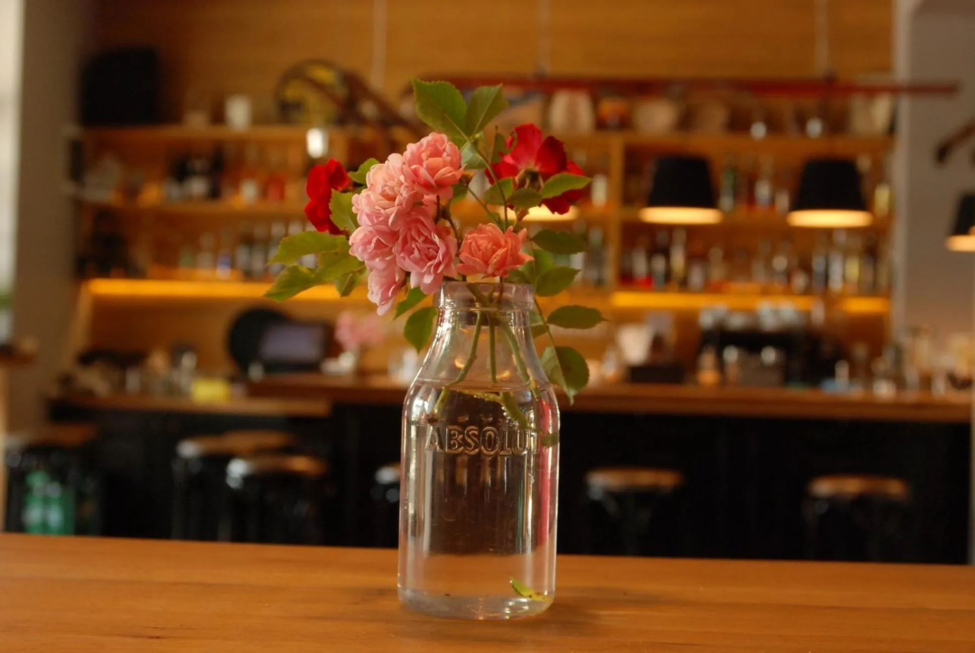 Lounge or bar in White Lavina - Ski, Bike, Hike