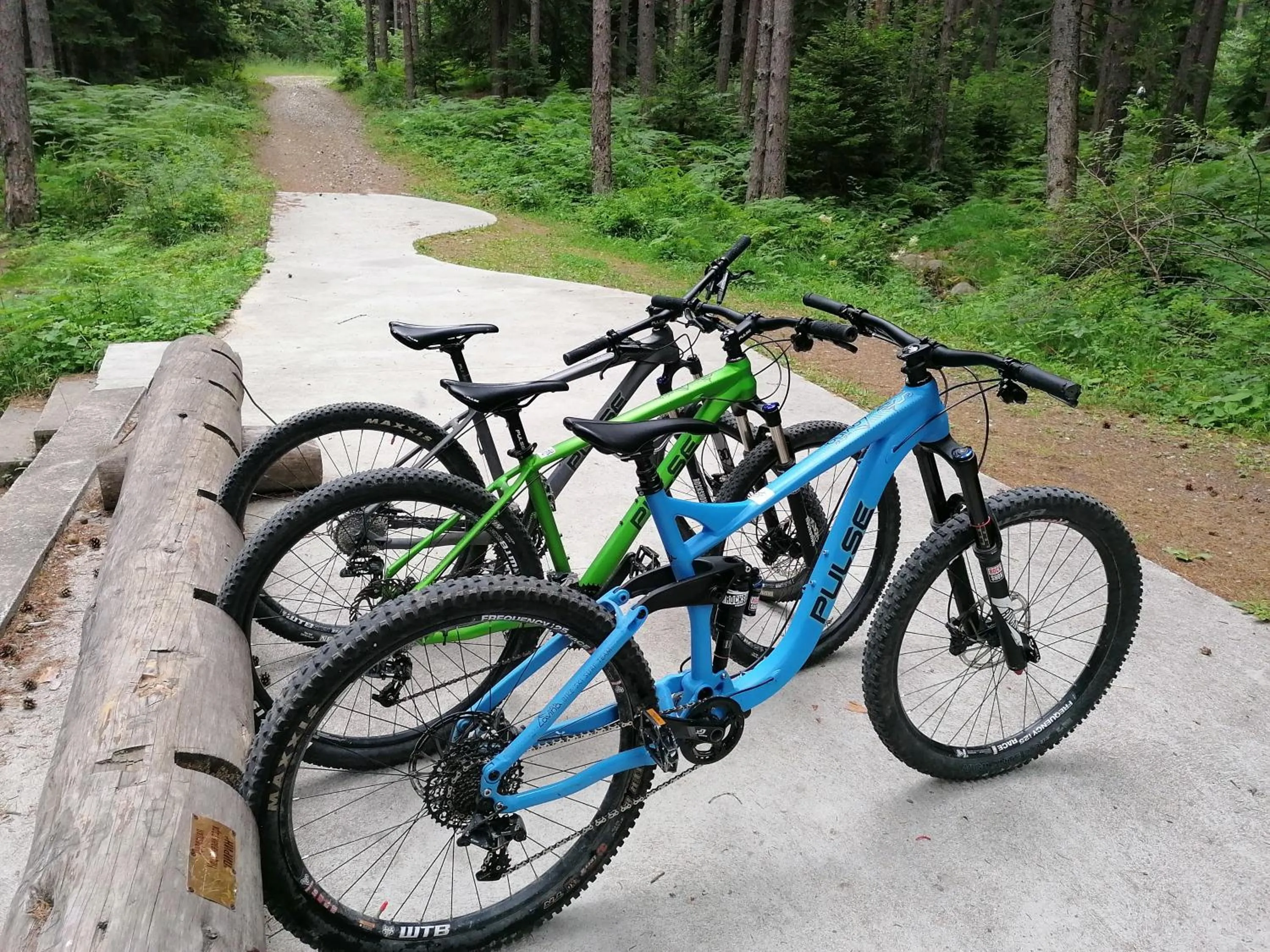 Activities in White Lavina - Ski, Bike, Hike