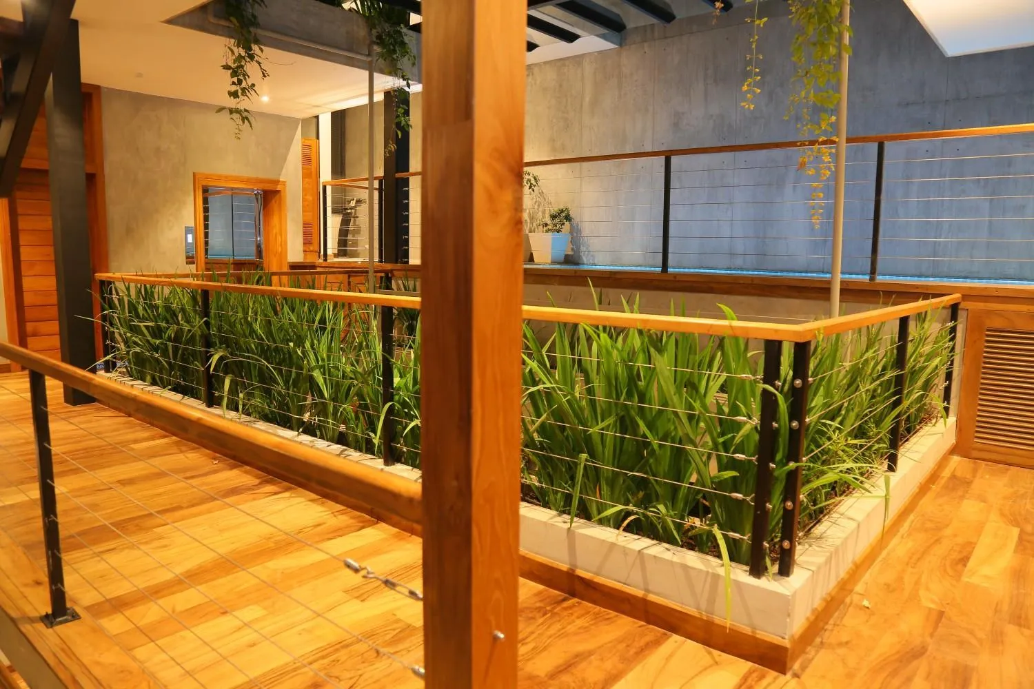 Garden view in Lakewood Residence