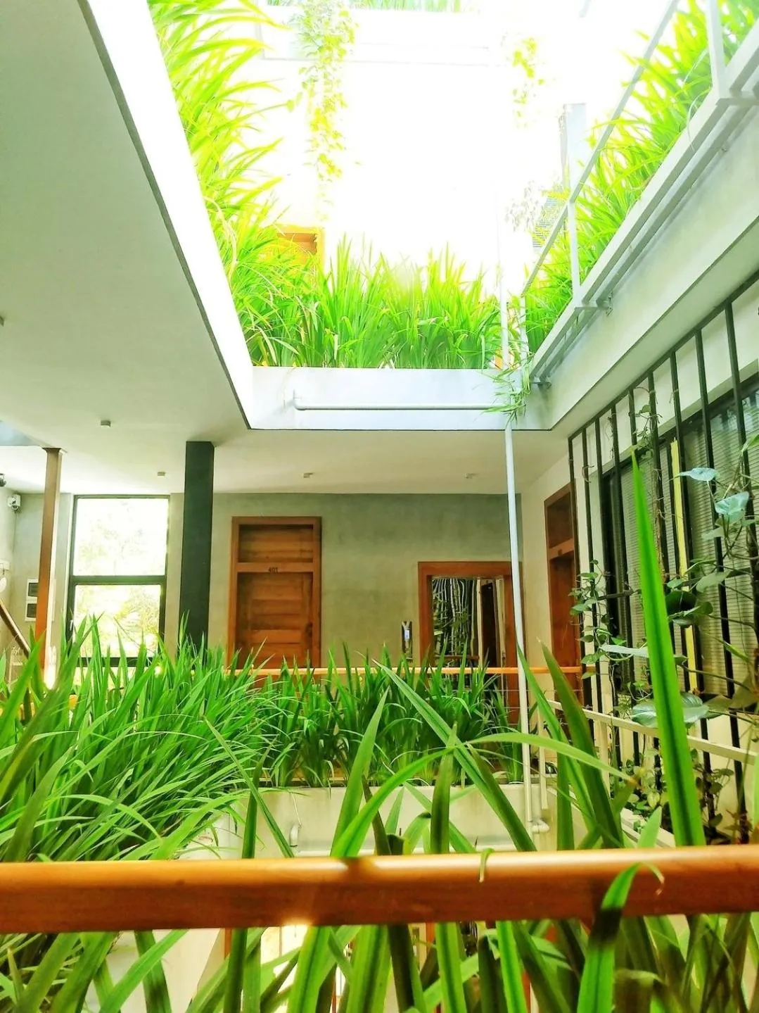 Garden view in Lakewood Residence