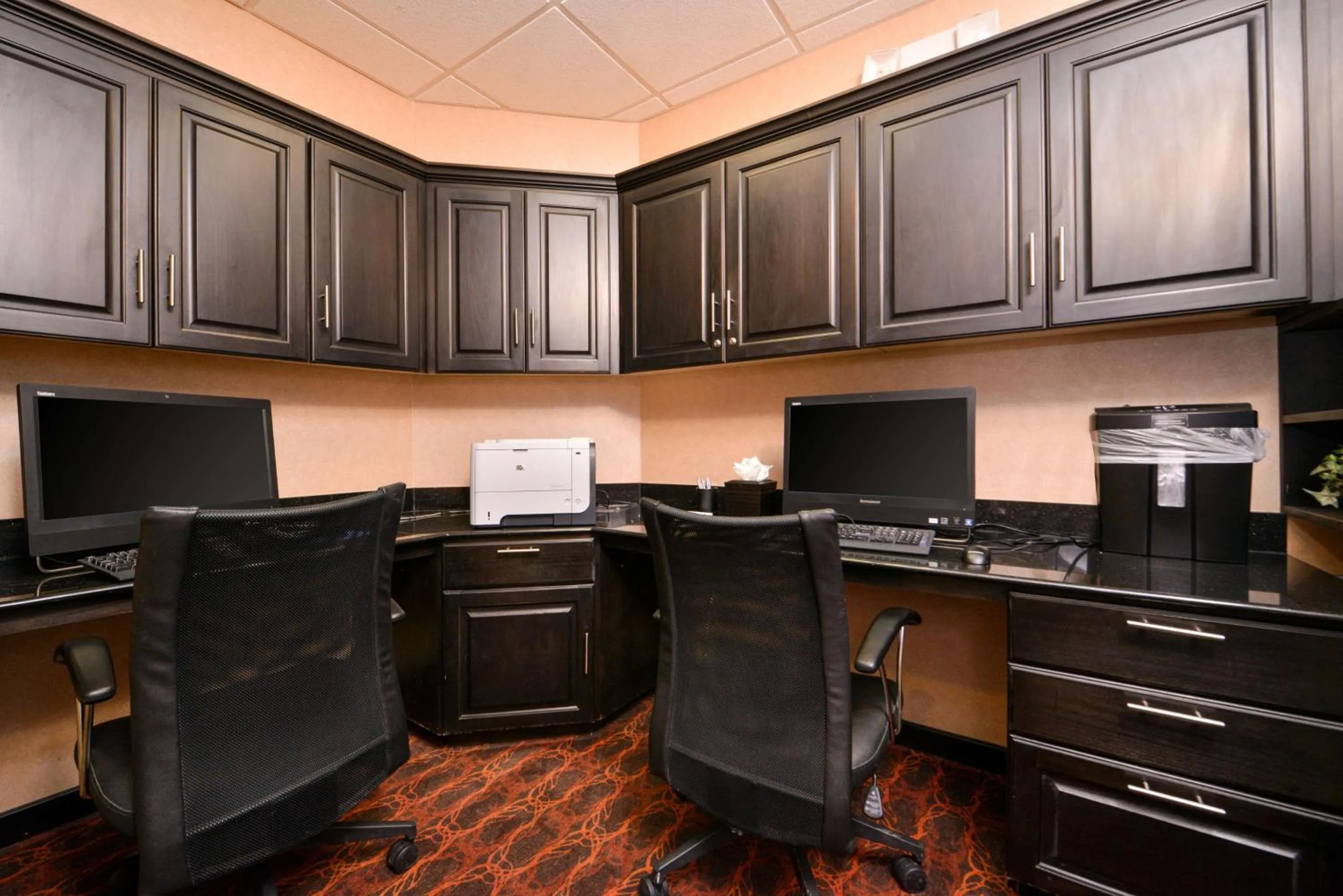 Business facilities in Hampton Inn Pecos