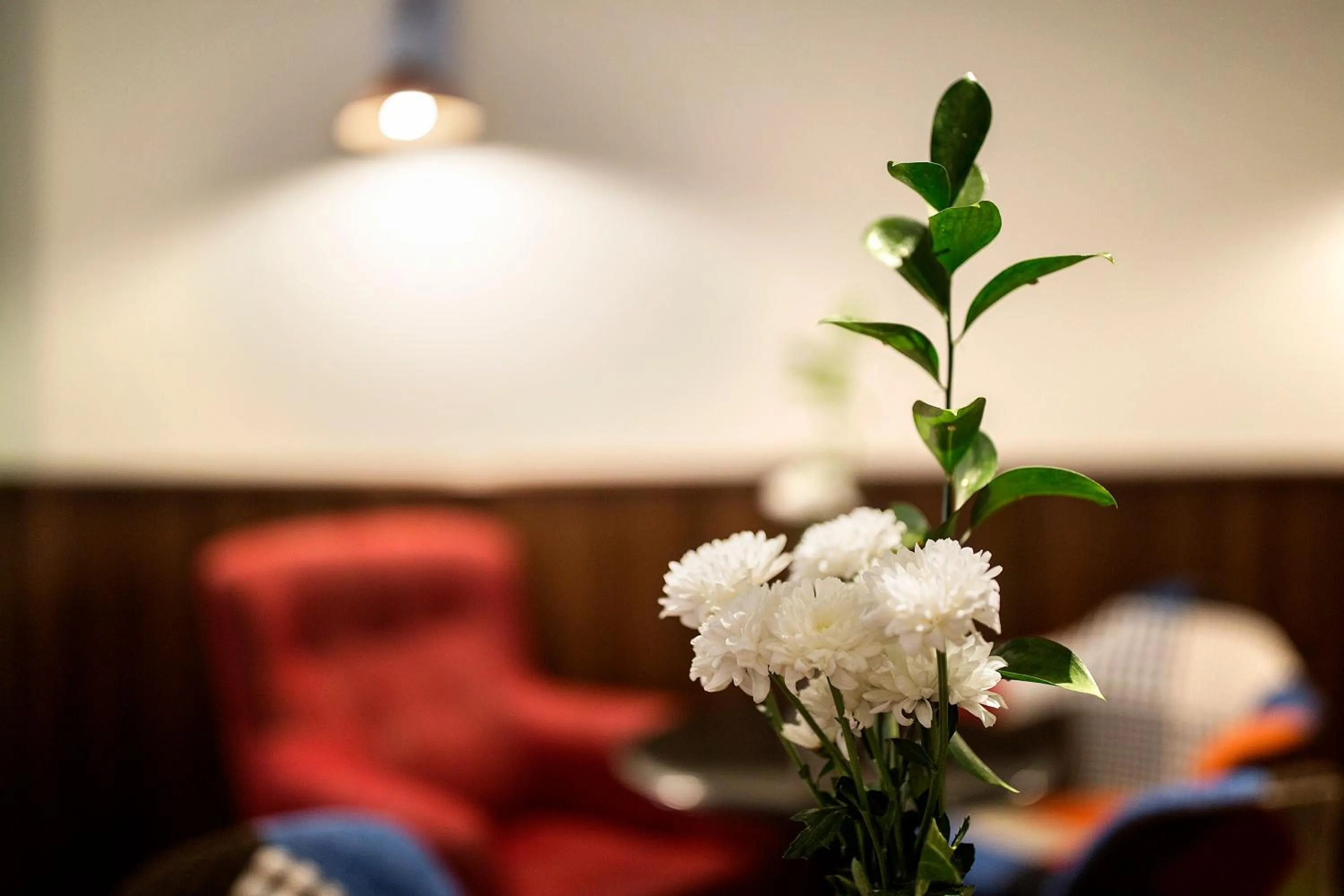 Library in Hostal Aznaitin