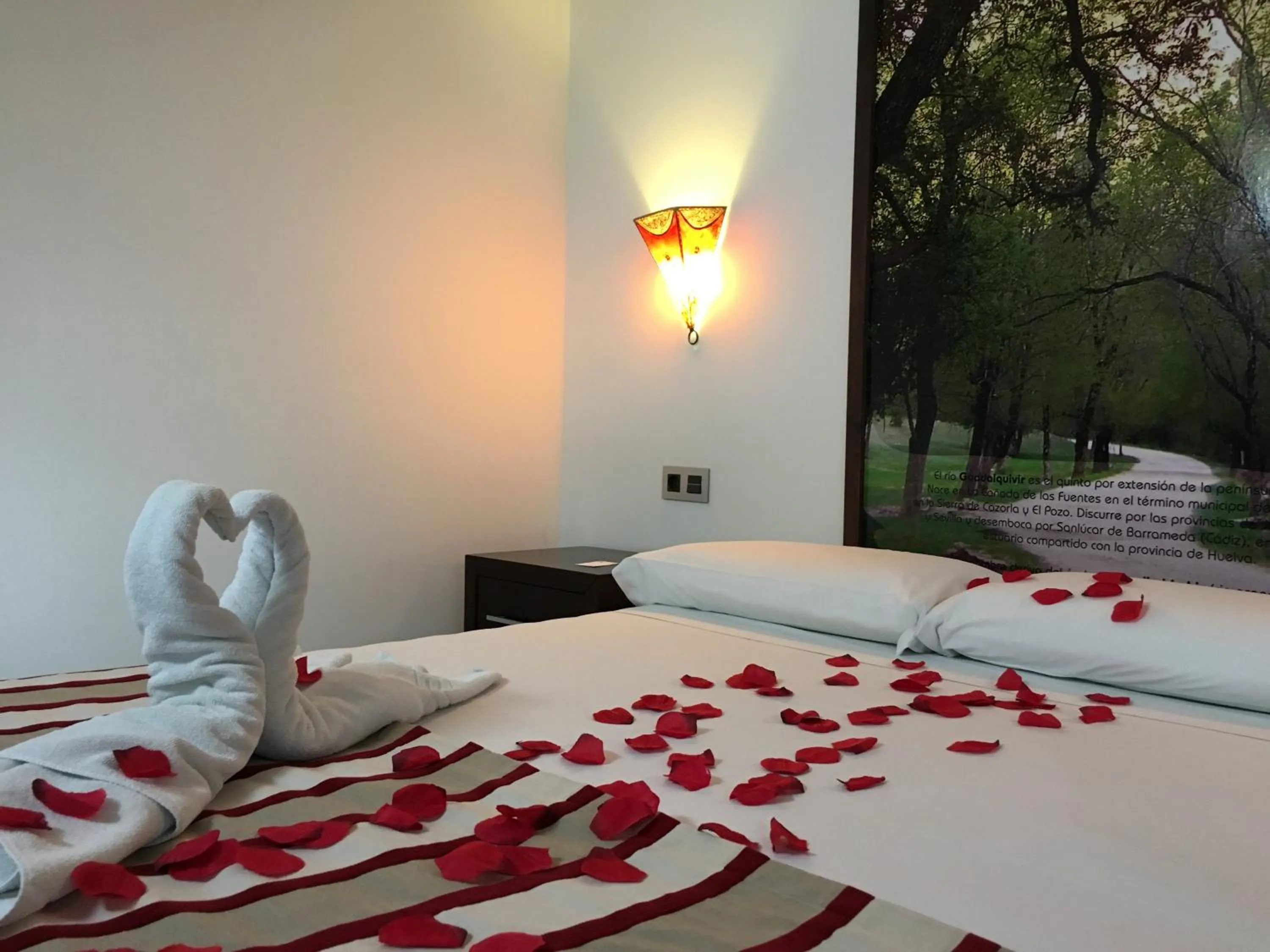 Other in Hostal Aznaitin