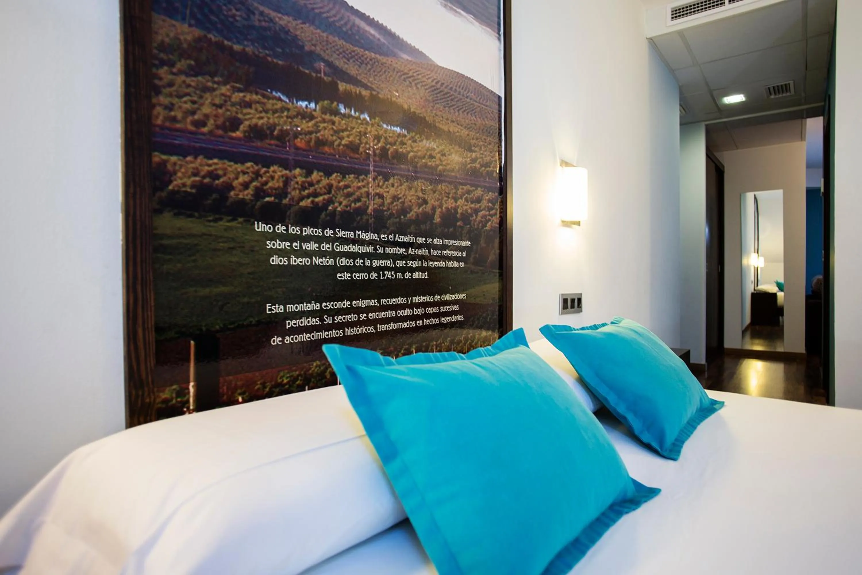 Bed in Hostal Aznaitin