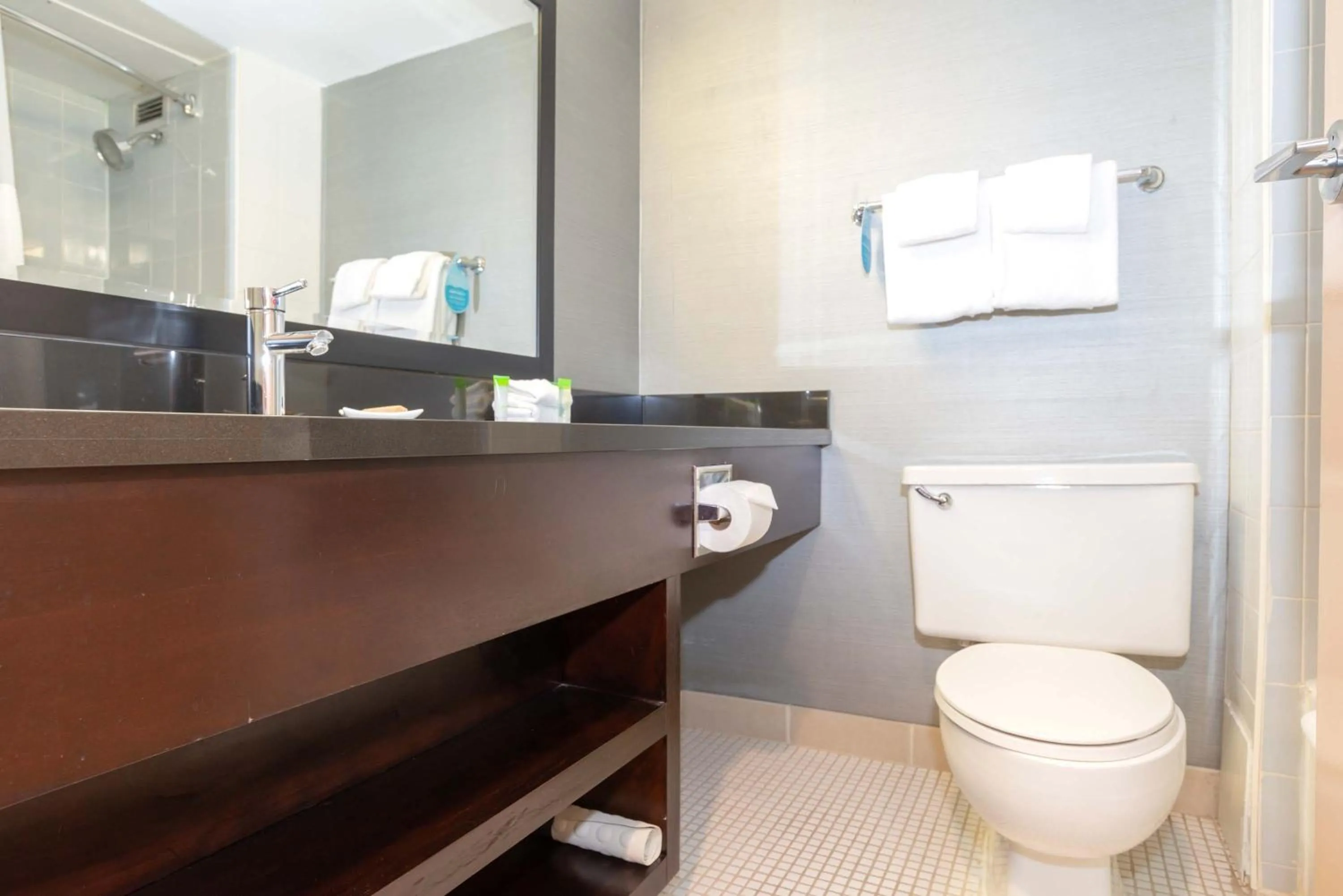 Bathroom in Sandman Hotel Lethbridge