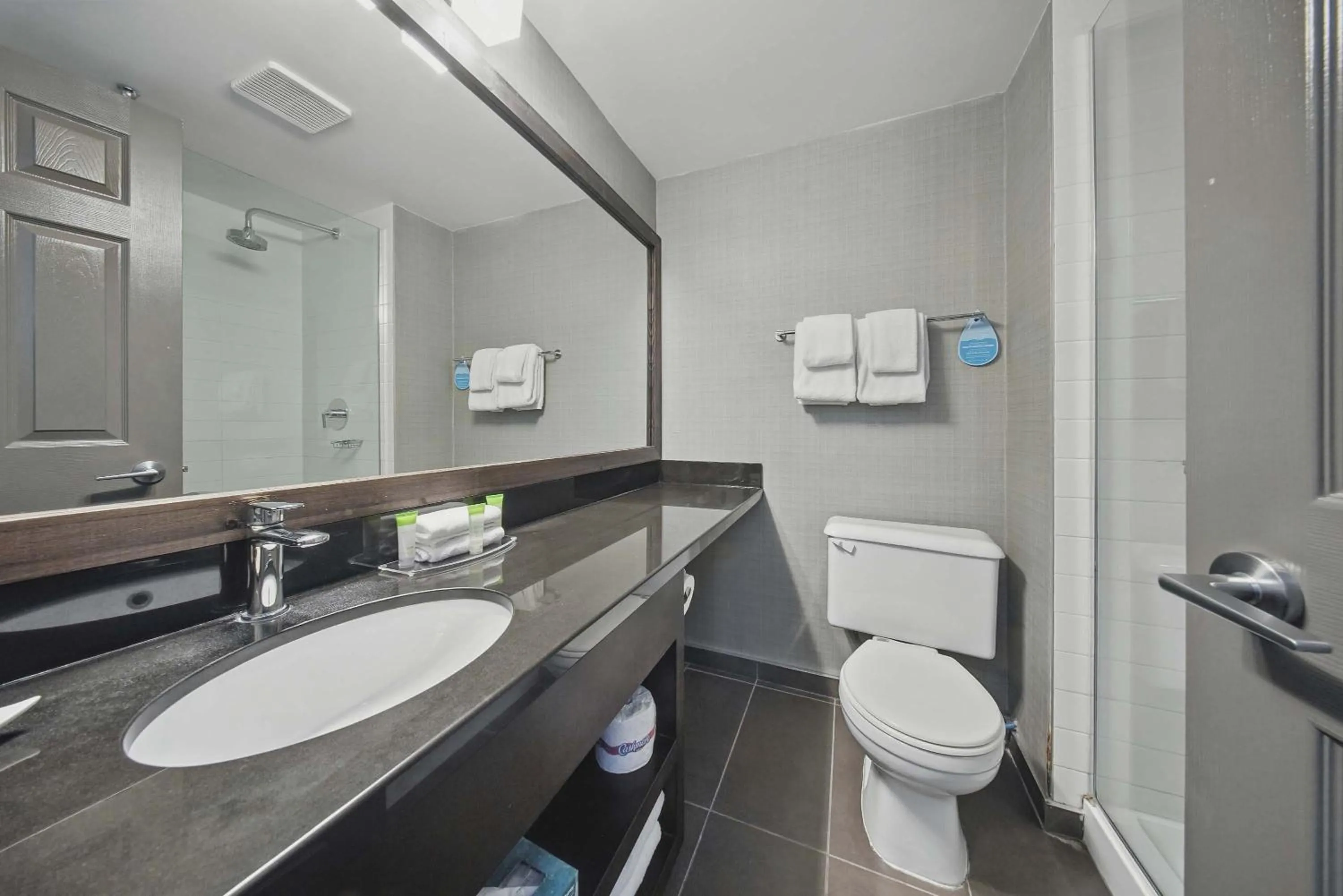 Bathroom in Sandman Hotel Red Deer