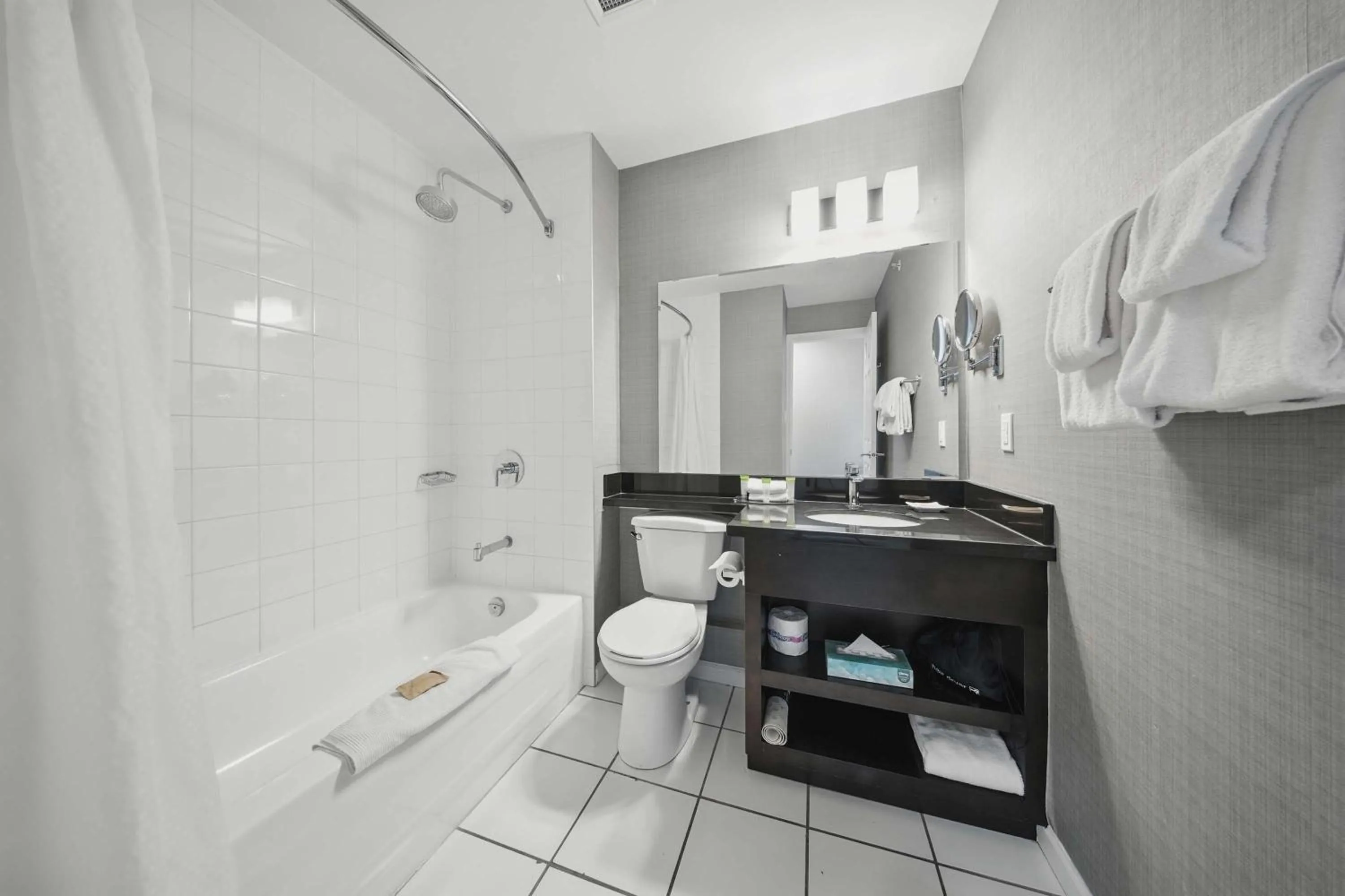 Bathroom in Sandman Hotel Red Deer