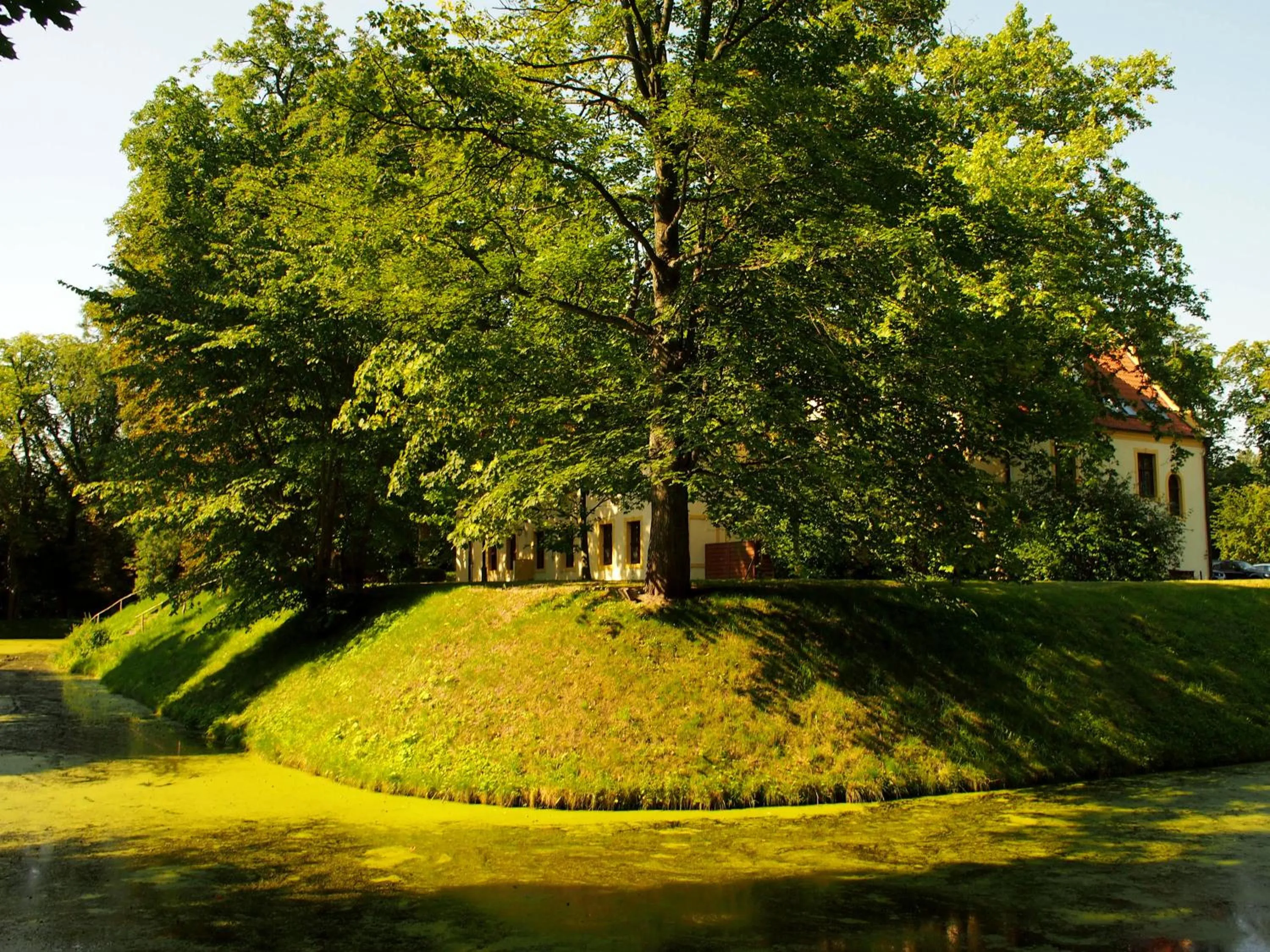 Natural landscape in Zamek w Krokowej