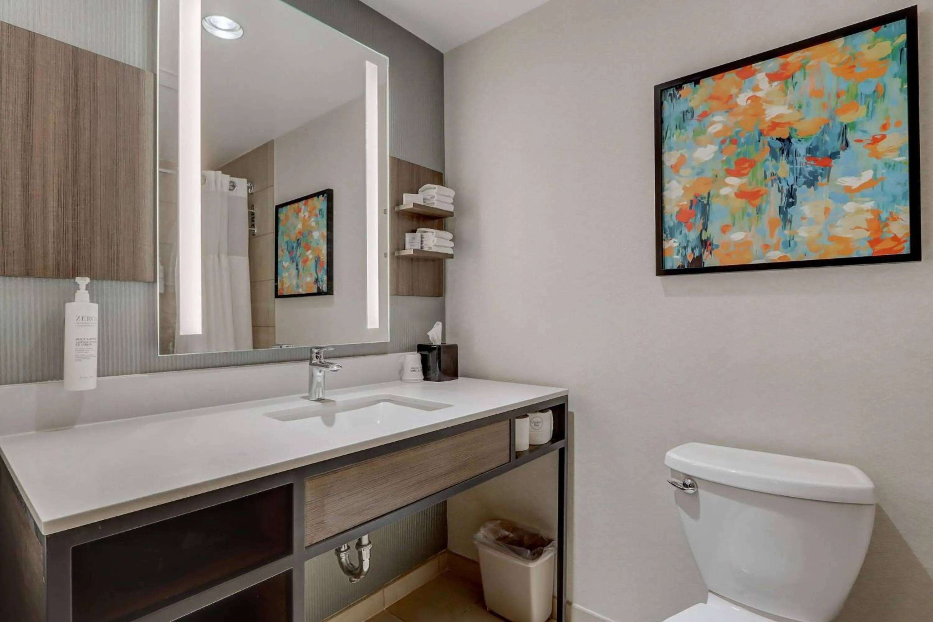 Bathroom in Hilton Garden Inn Indianapolis Northwest