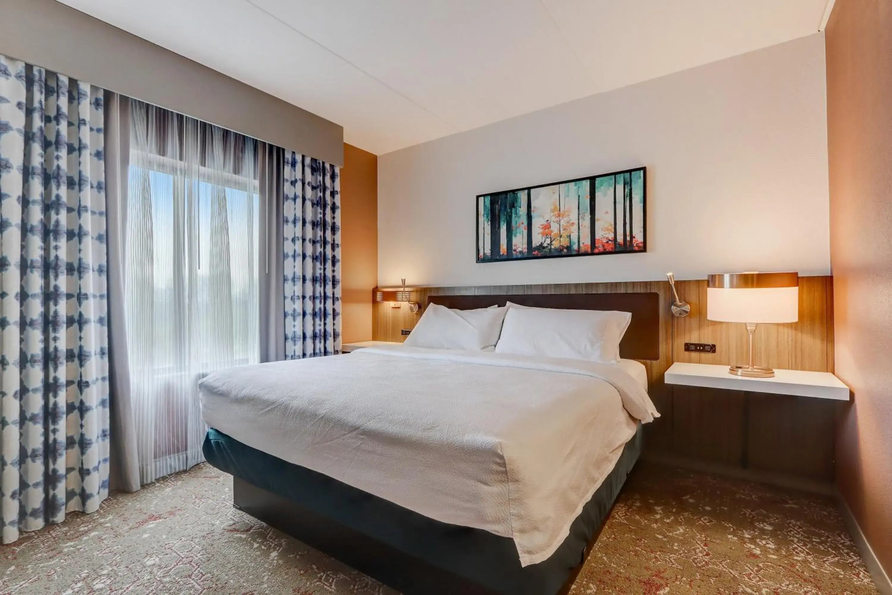 Junior King Suite with Seating Area in Hilton Garden Inn Indianapolis Northwest Junior King Suite with Seating Area in Hilton Garden Inn Indianapolis Northwest