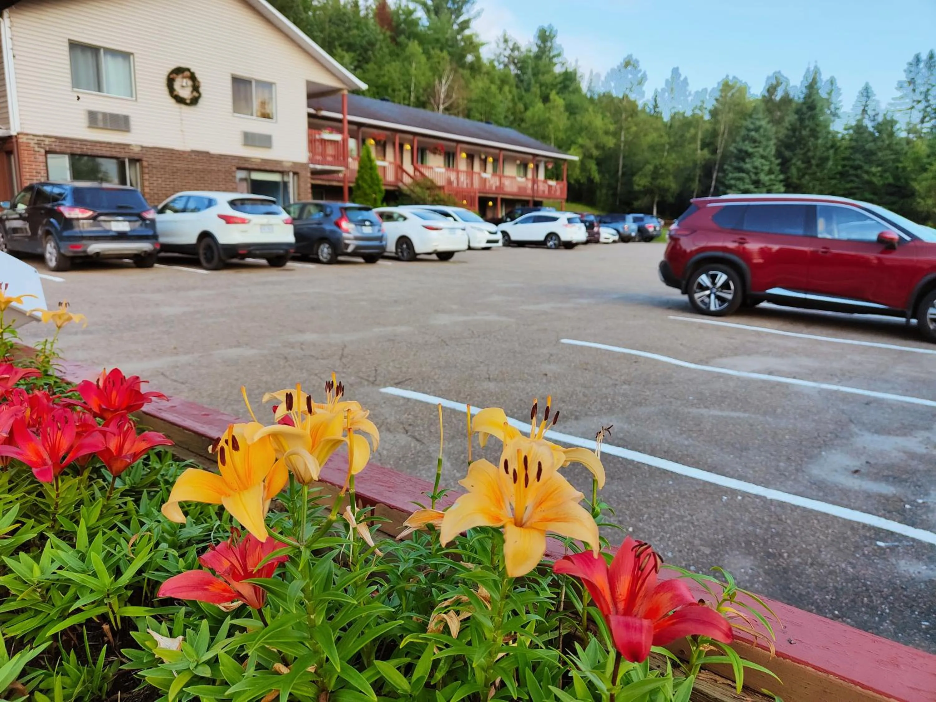 Motel Le Radisson de Val-David