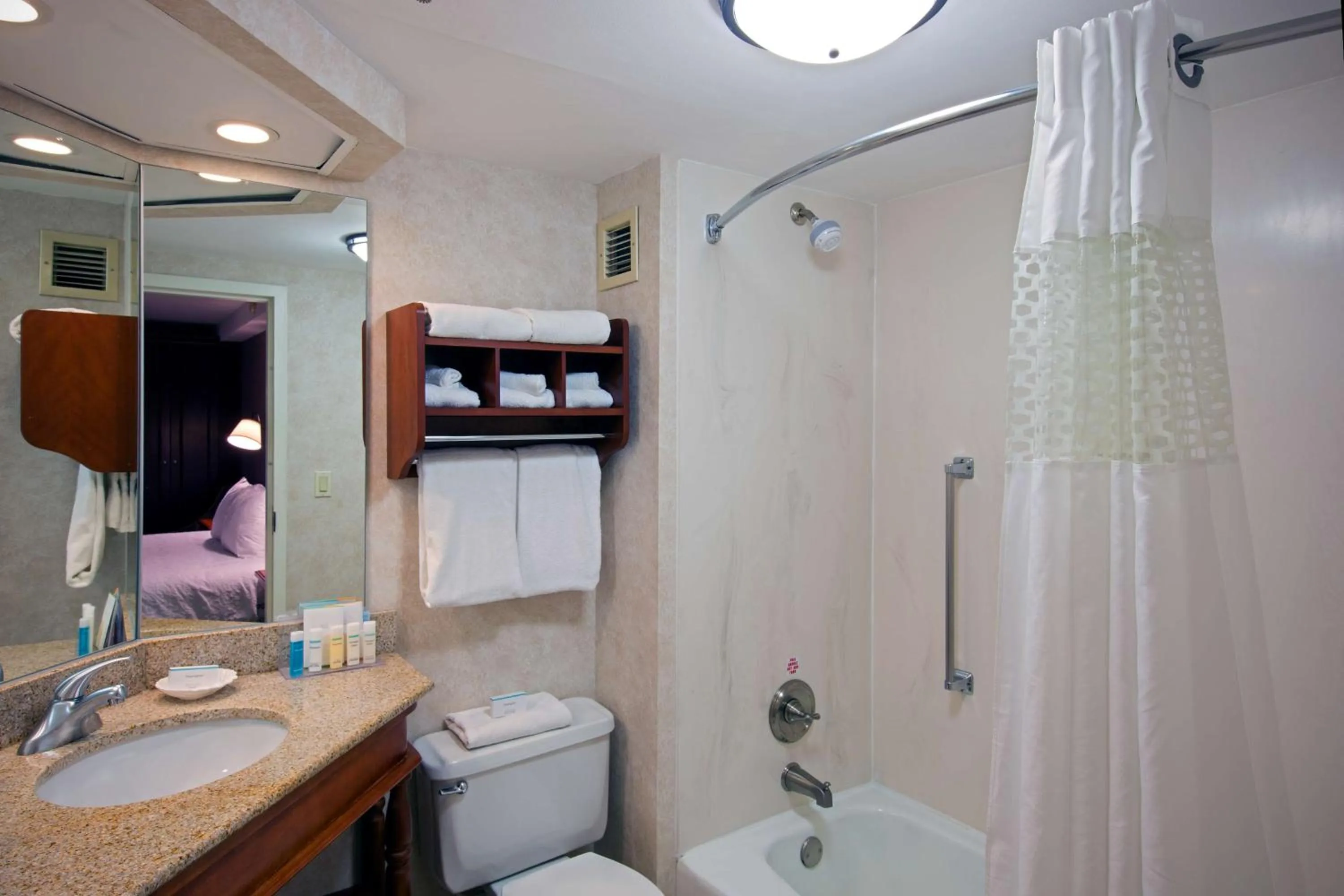 Bathroom in Hampton Inn West Springfield