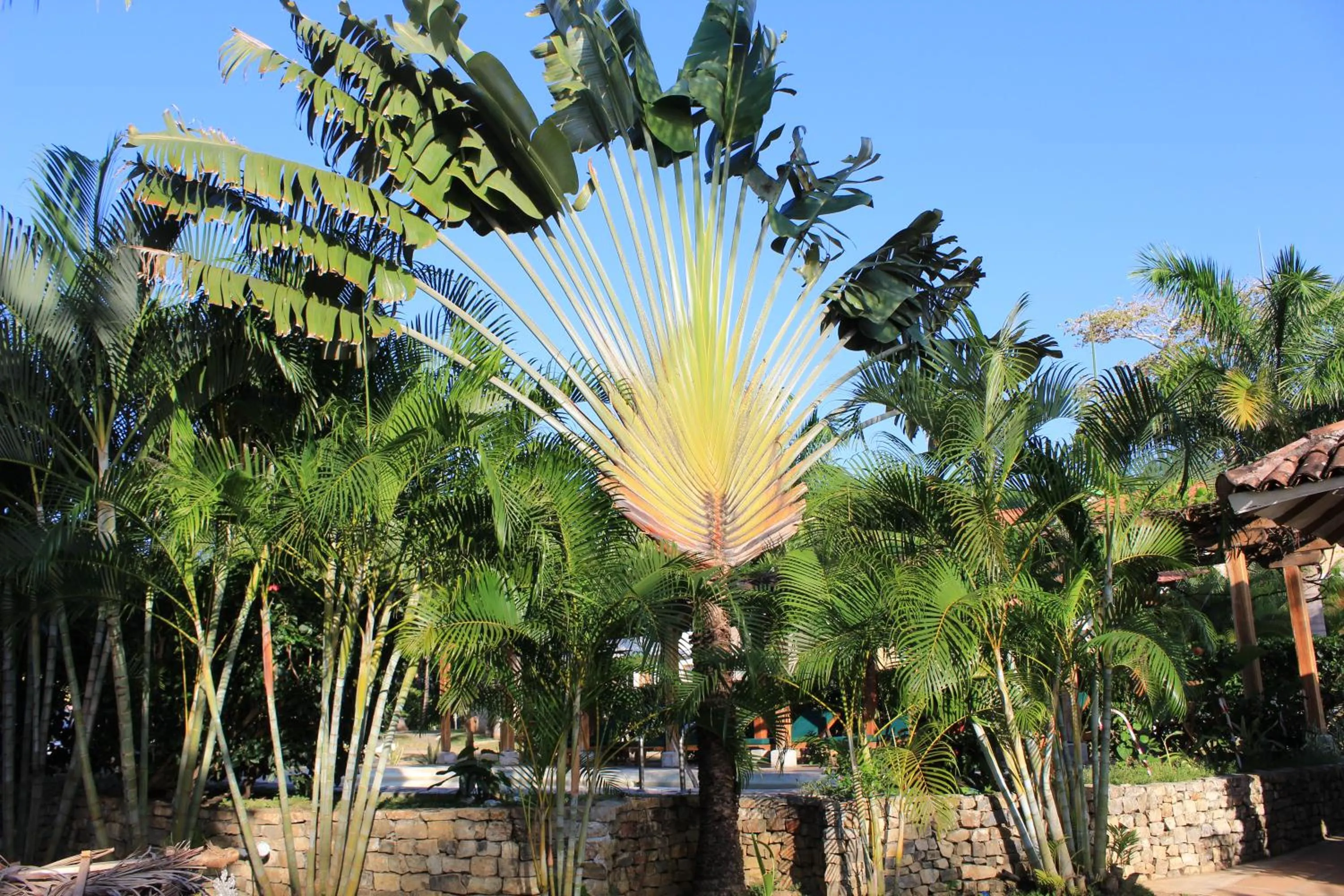 Beach in Hotel Punta Franca