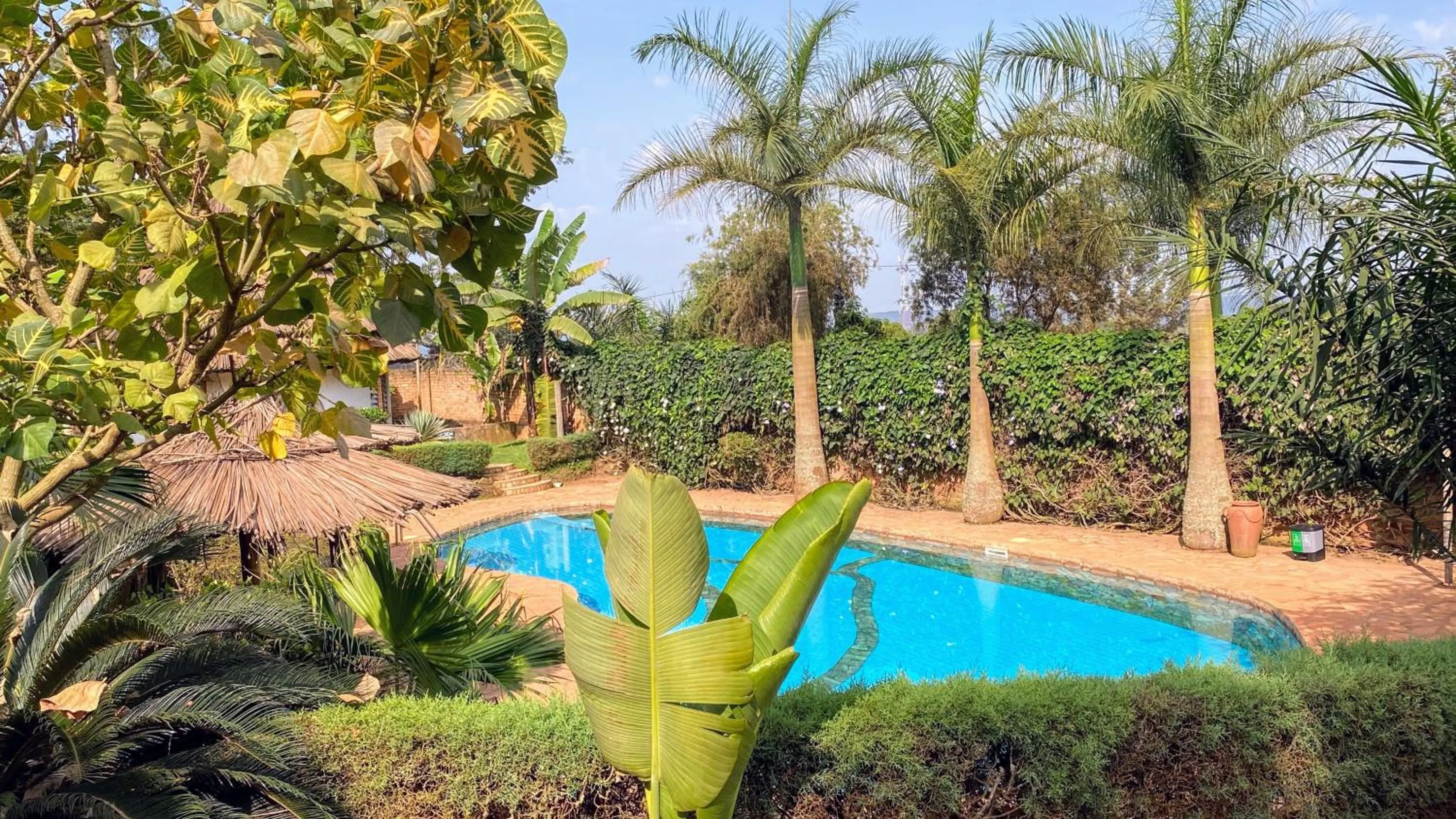 Swimming pool in Banda Lodge